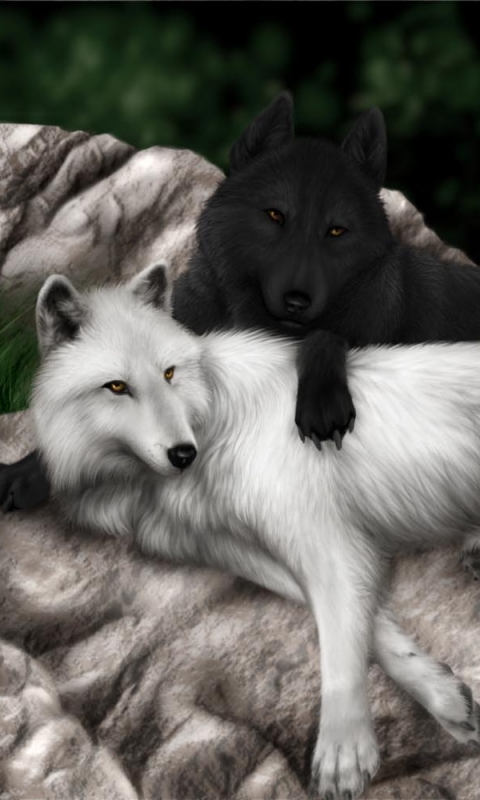 Download mobile wallpaper Love, Wolf, Animal, Wolves for free.