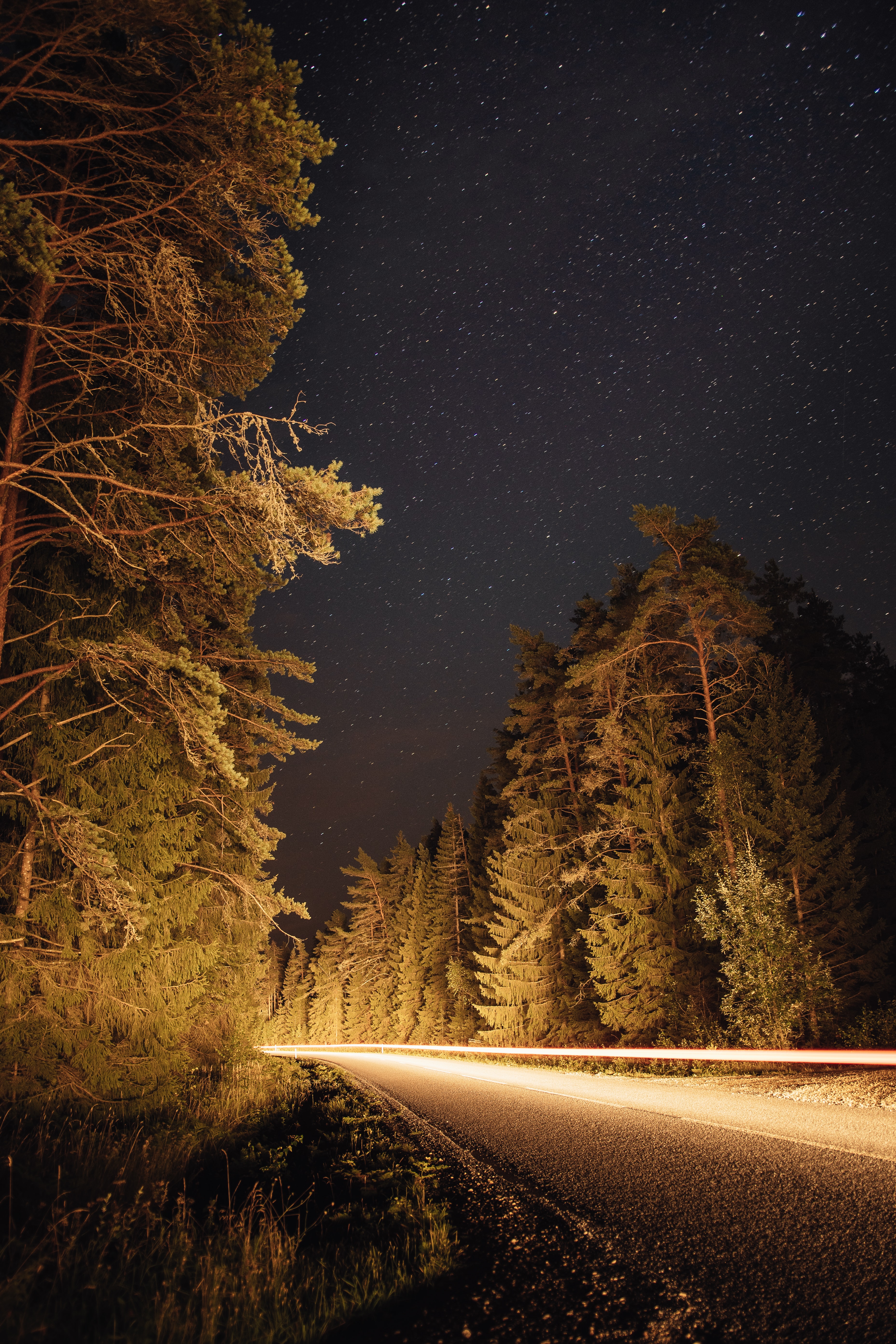 Download mobile wallpaper Nature, Fir, Spruce, Trees, Long Exposure, Road for free.