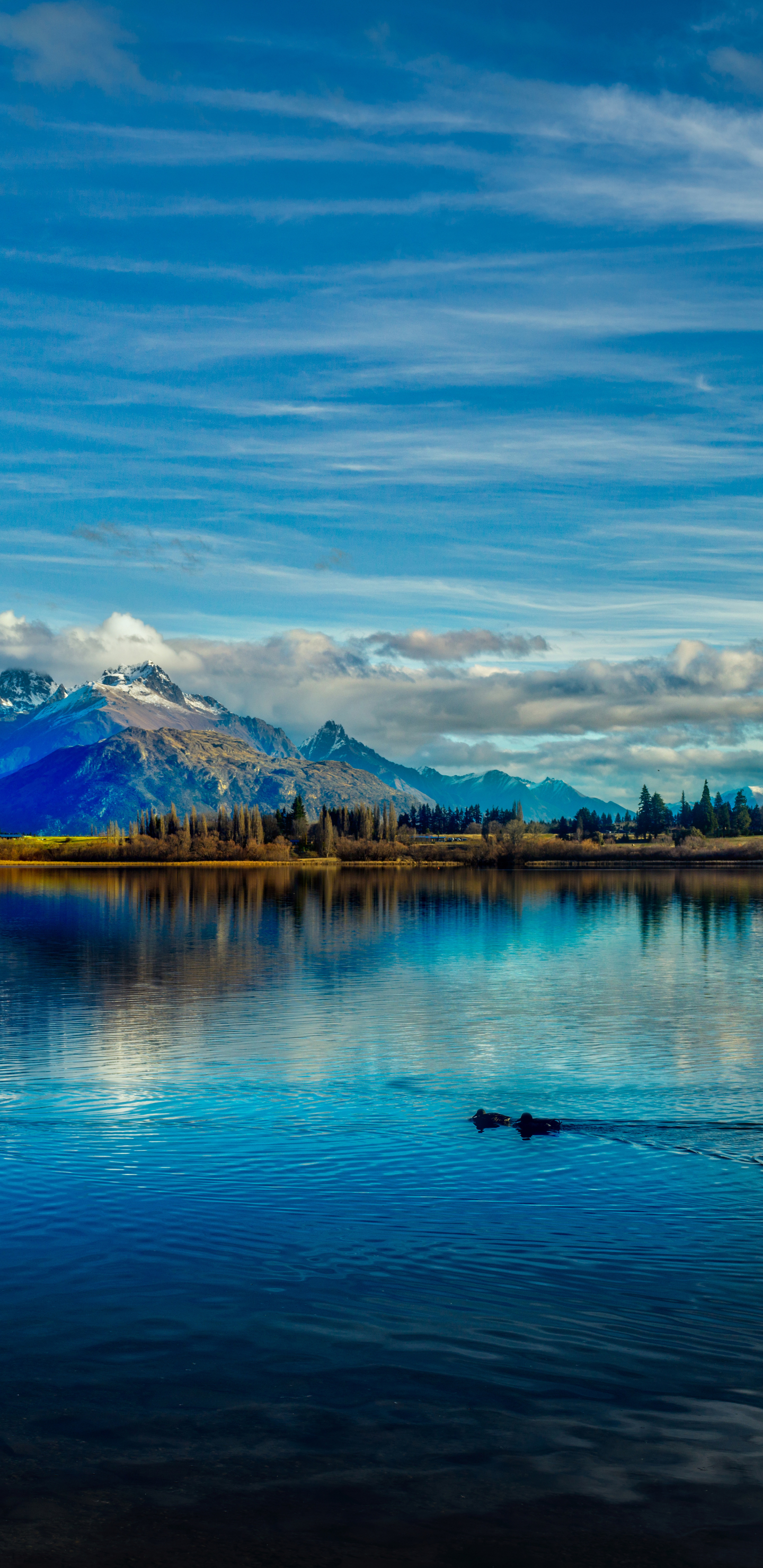 Handy-Wallpaper Landschaft, Seen, Berg, See, Neuseeland, Gebirge, Fotografie, Lake Hayes kostenlos herunterladen.