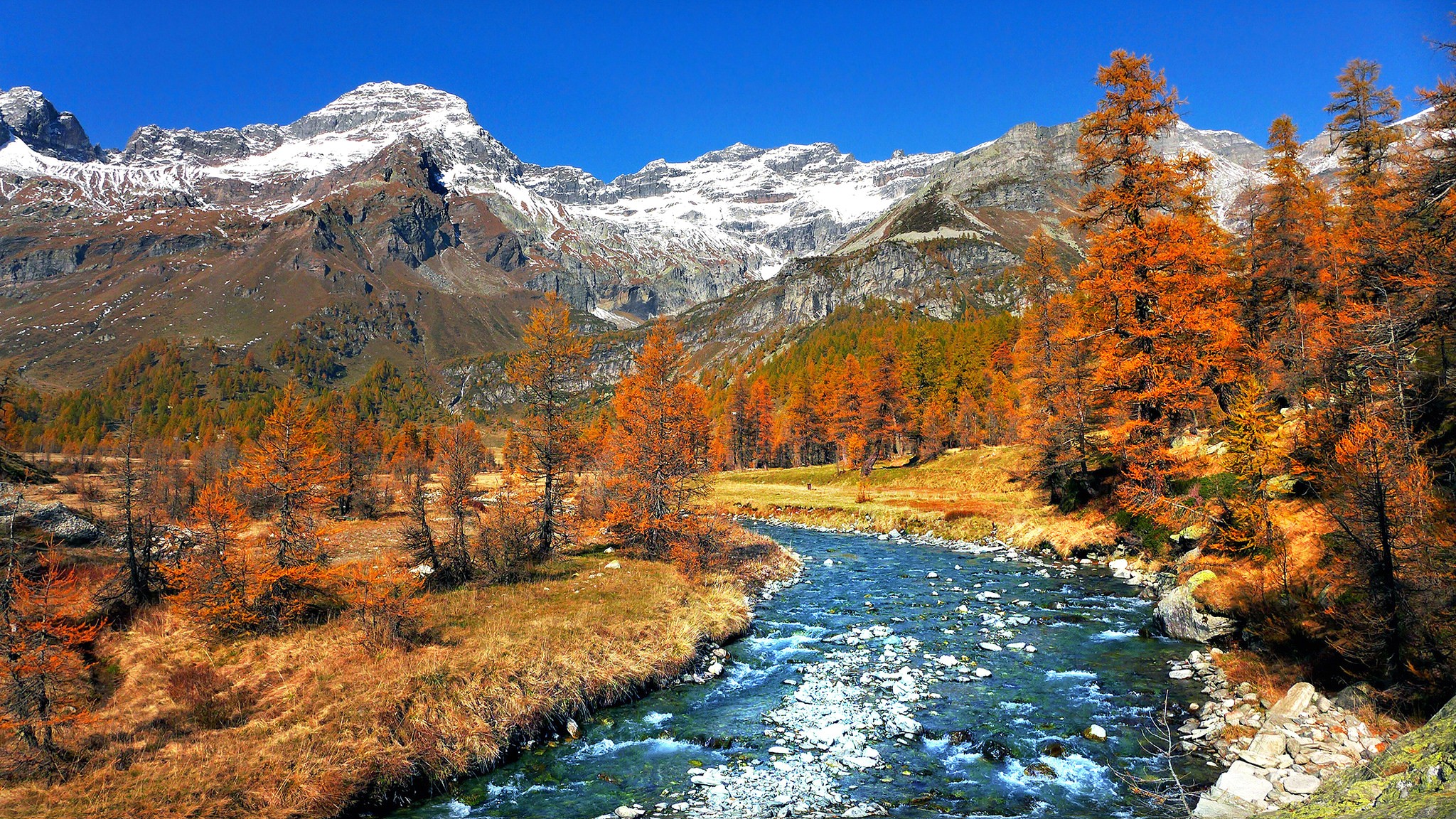 Descarga gratis la imagen Rio, Árbol, Tierra/naturaleza en el escritorio de tu PC