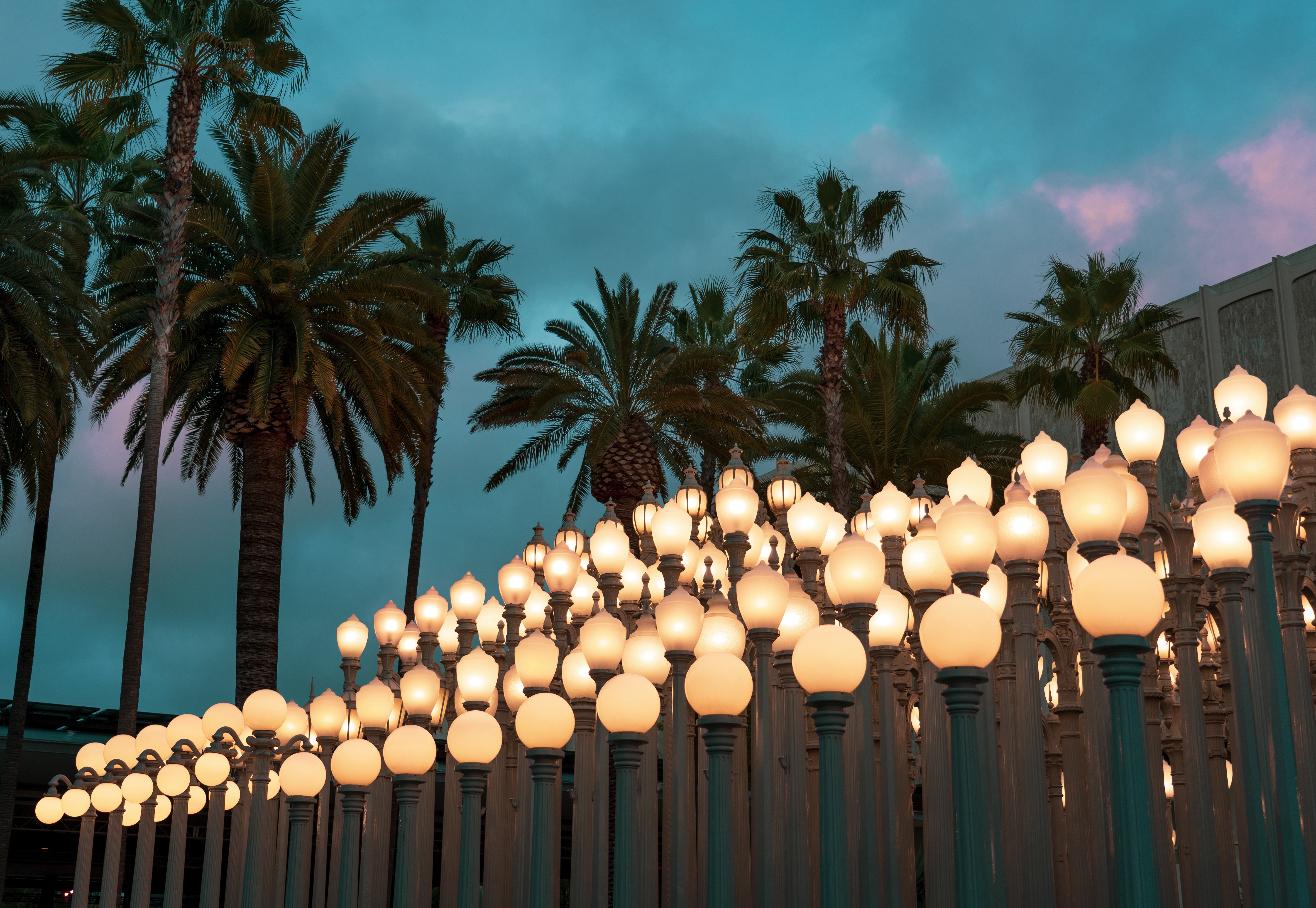 lanterns, sky, twilight, clouds, palms, lights, miscellanea, miscellaneous, dusk HD wallpaper