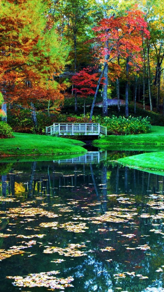 Download mobile wallpaper Reflection, Park, Tree, Fall, Pond, Gazebo, Man Made for free.