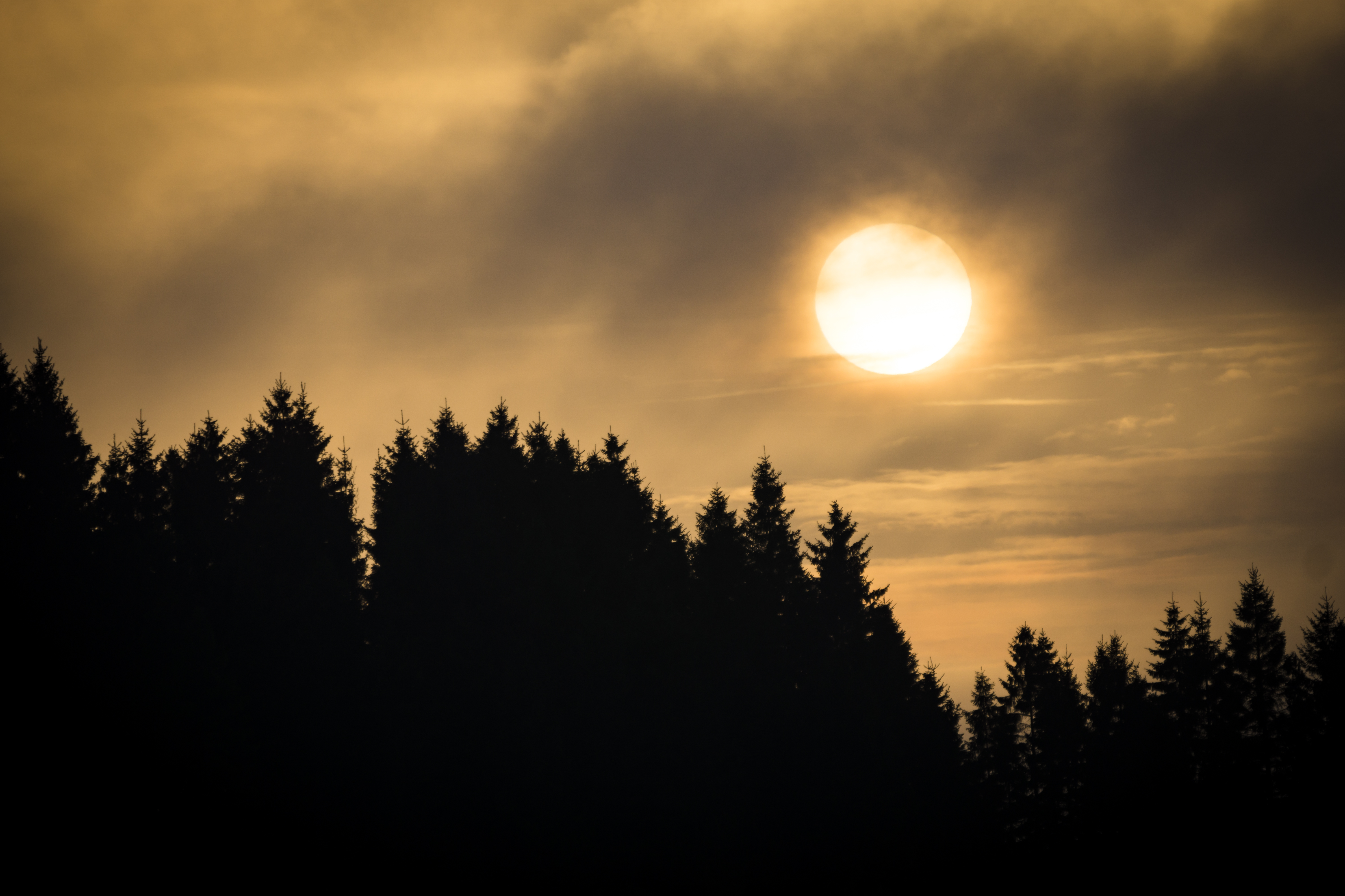 Free download wallpaper Trees, Sunset, Clouds, Fir, Spruce, Nature on your PC desktop