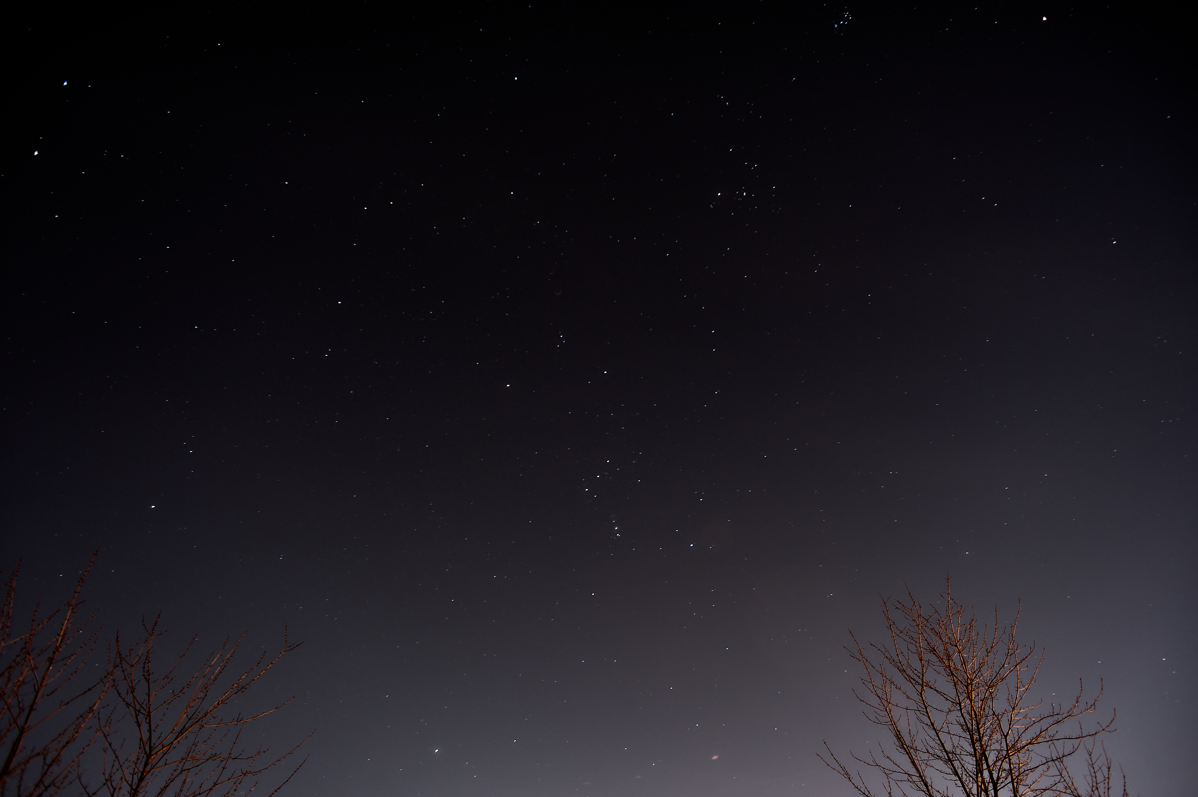 Download mobile wallpaper Wood, Tree, Sky, Stars, Nature, Night for free.