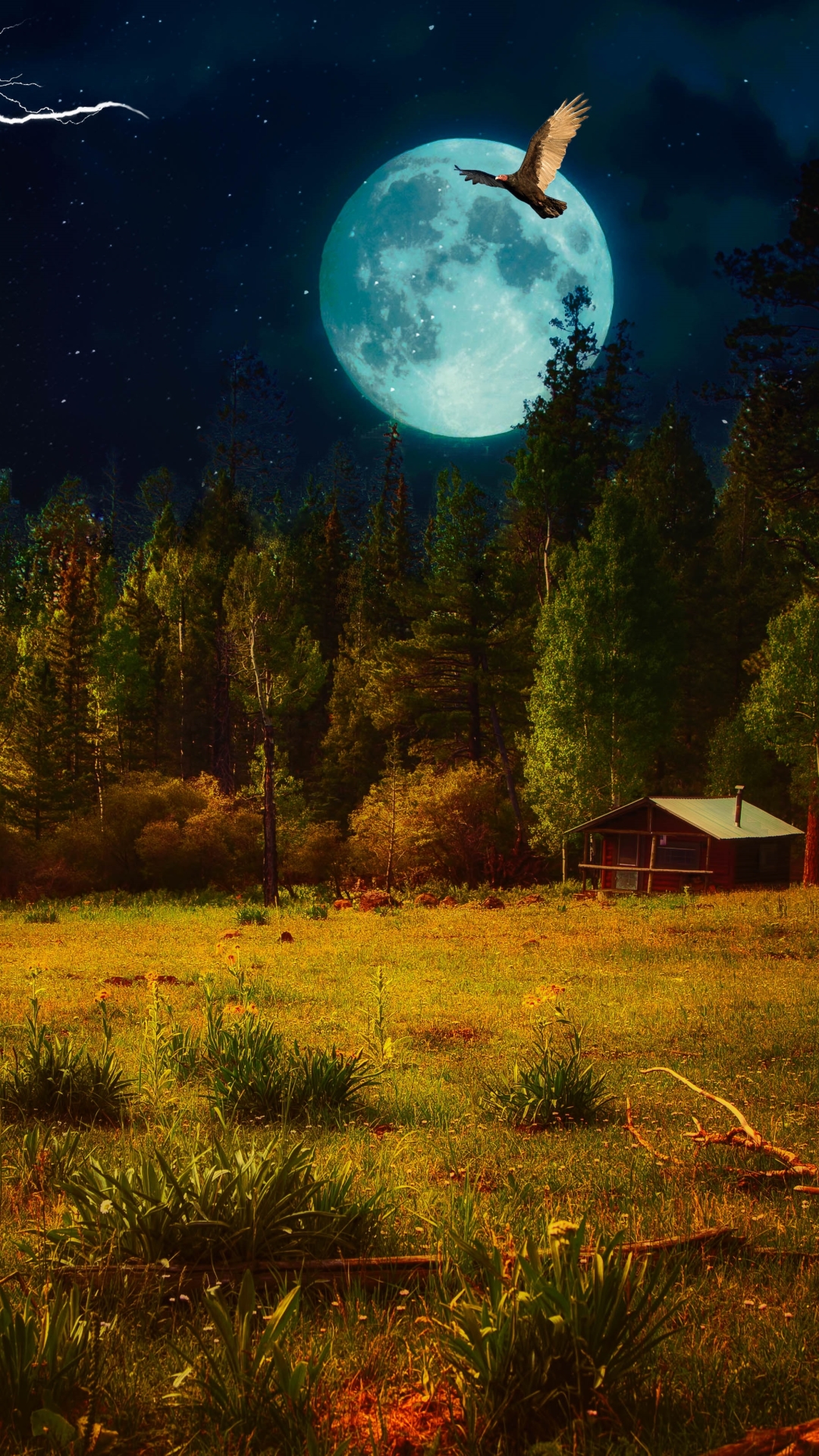 Download mobile wallpaper Landscape, Fantasy, Night, Moon, Bird, Artistic, Cabin for free.
