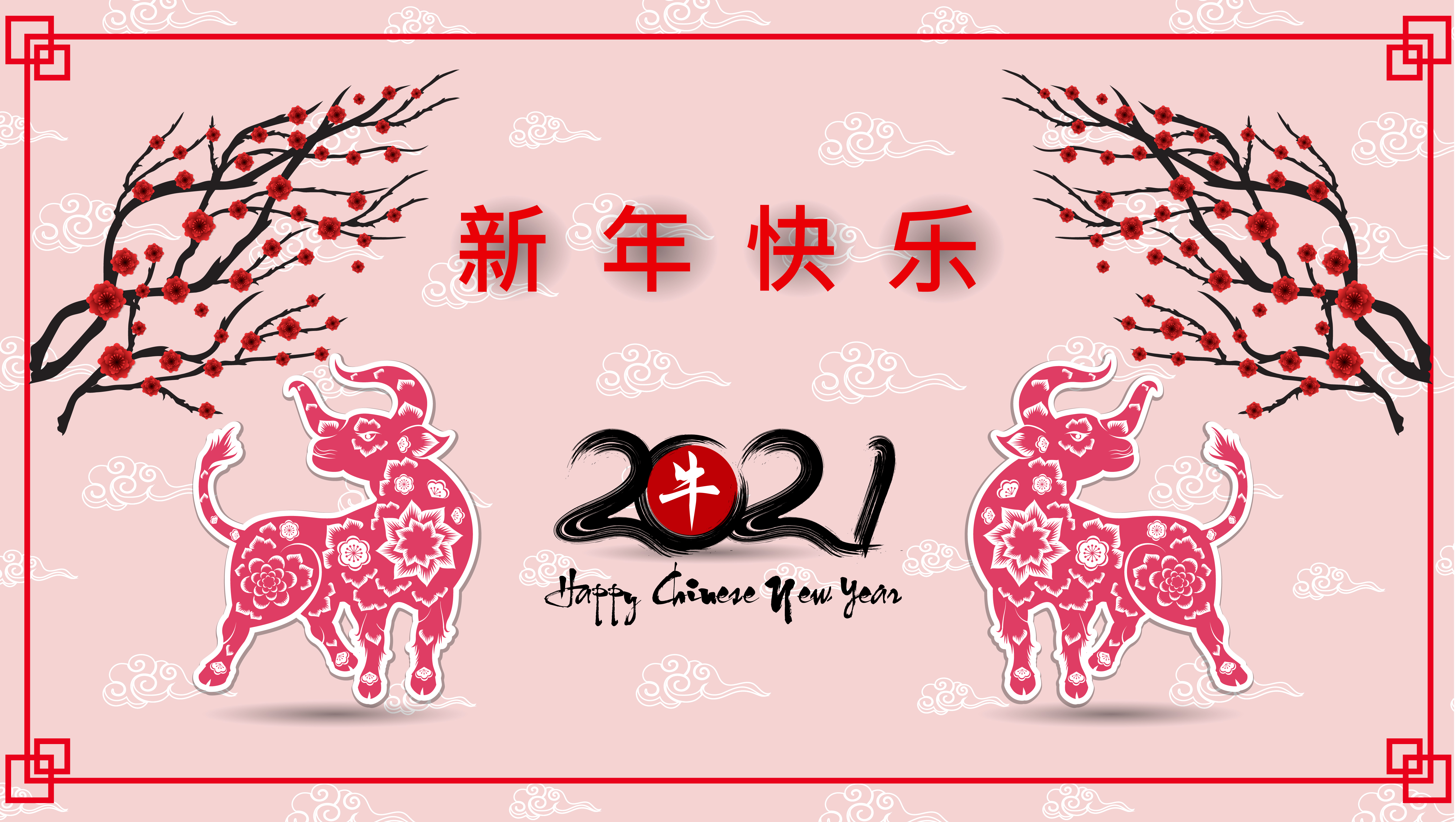  Chinese New Year HQ Background Wallpapers