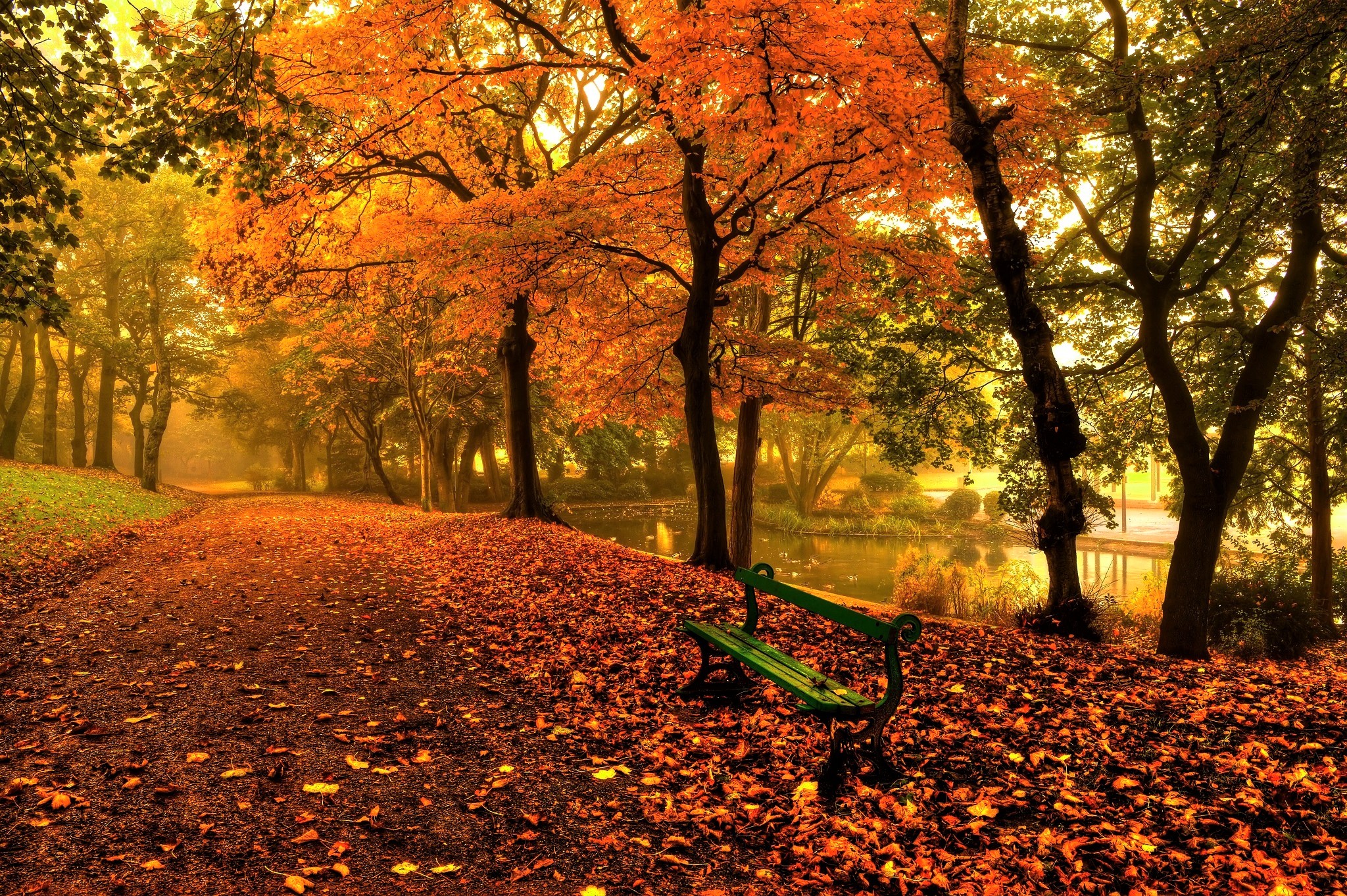 Скачать картинку Осень, Парк, Дерево, Туман, Скамейка, Пруд, Фотографии в телефон бесплатно.