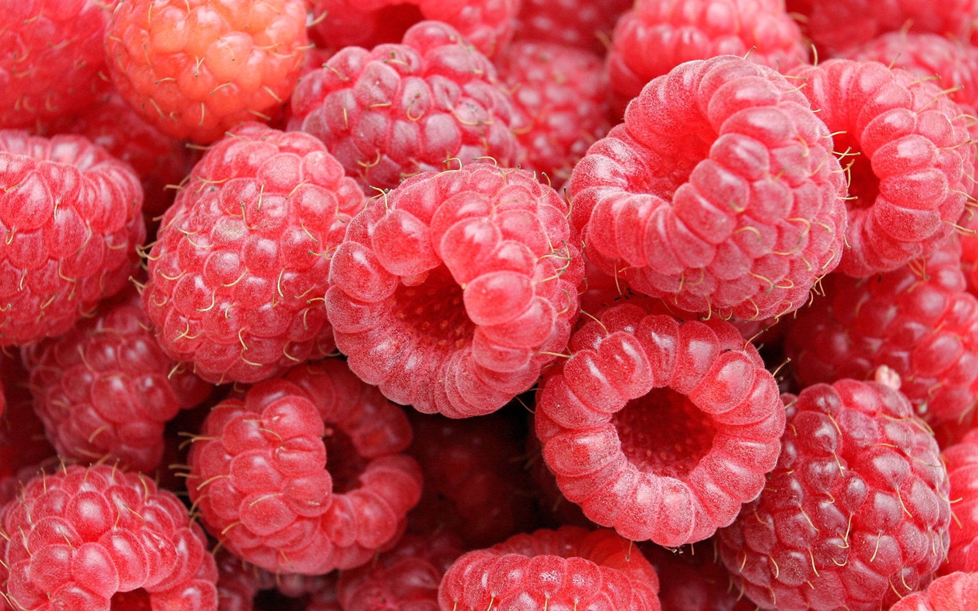 Free download wallpaper Raspberry, Berries, Fruits, Food, Background on your PC desktop