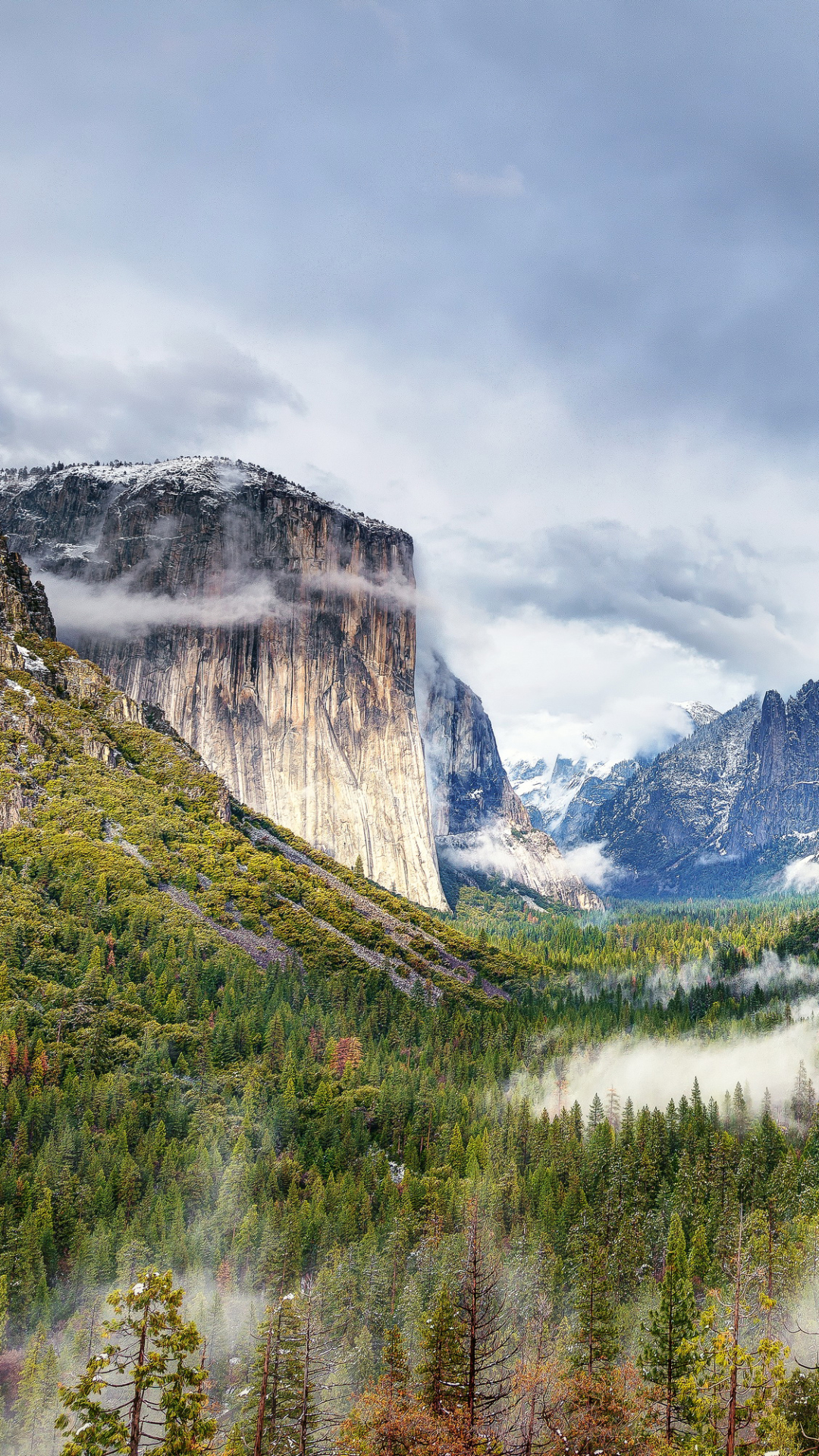 Handy-Wallpaper Landschaft, Natur, Berg, Wald, Cliff, Klippe, Gebirge, Nationalpark, Yosemite Nationalpark, Vereinigte Staaten Von Amerika, Erde/natur kostenlos herunterladen.