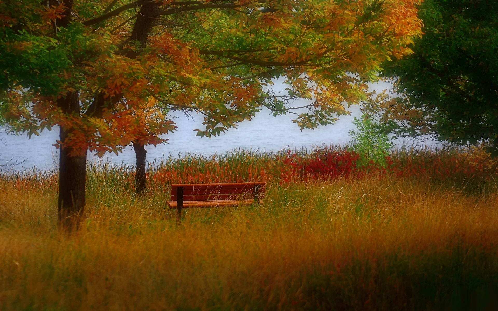 Скачать обои бесплатно Трава, Деревья, Река, Пейзаж, Осень картинка на рабочий стол ПК