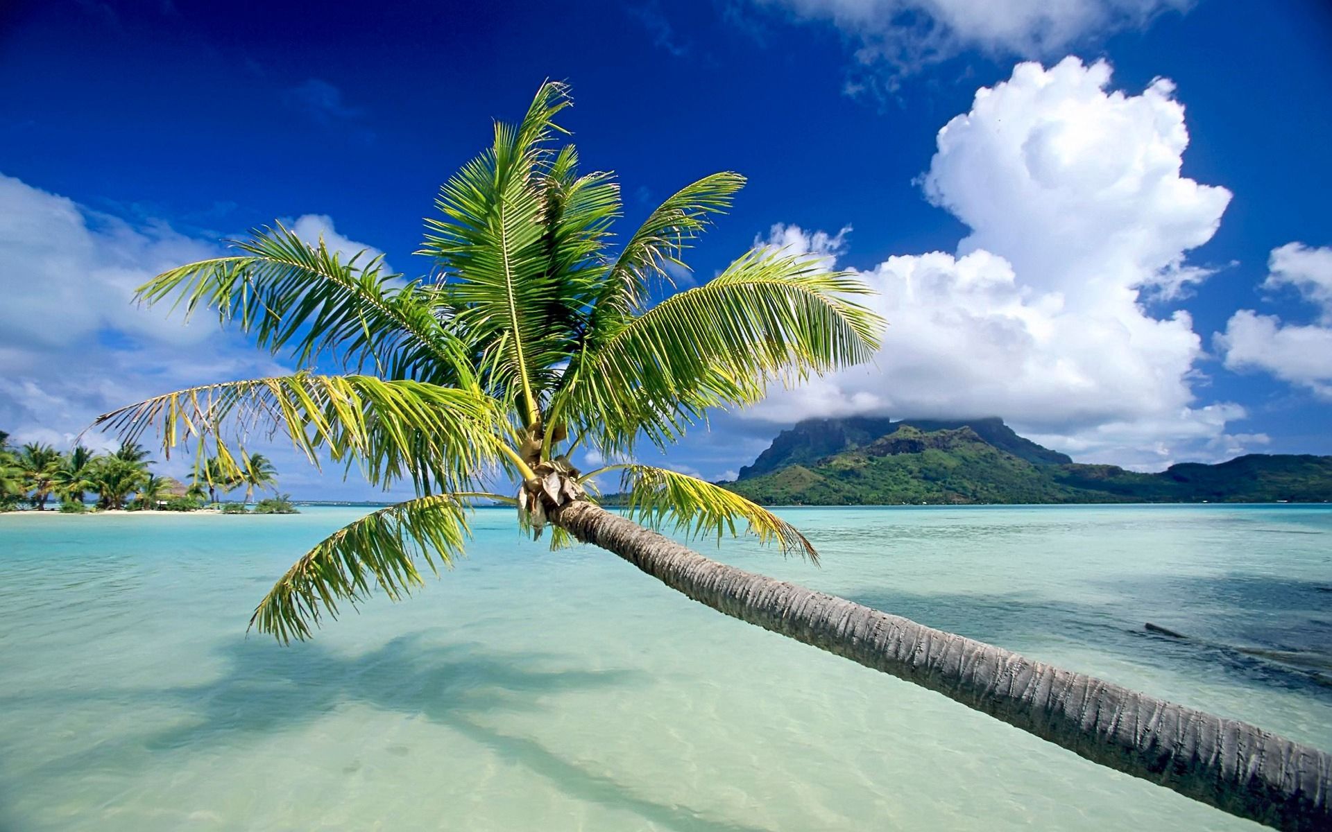 153054 завантажити картинку пляж, природа, вода, дерева, небо, пальми, відпочинок, решта - шпалери і заставки безкоштовно
