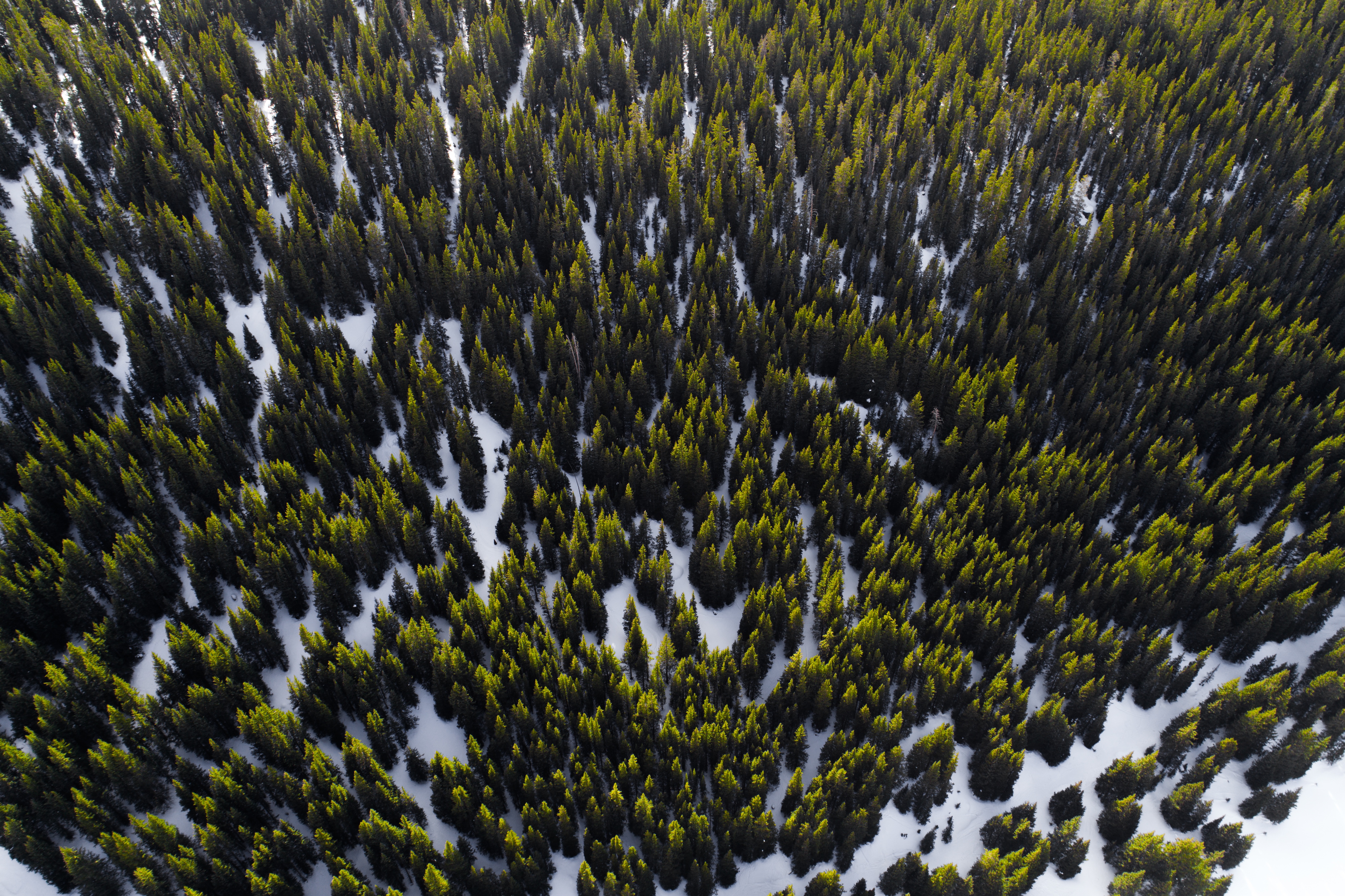 Download mobile wallpaper Snow, Trees, View From Above, Nature for free.