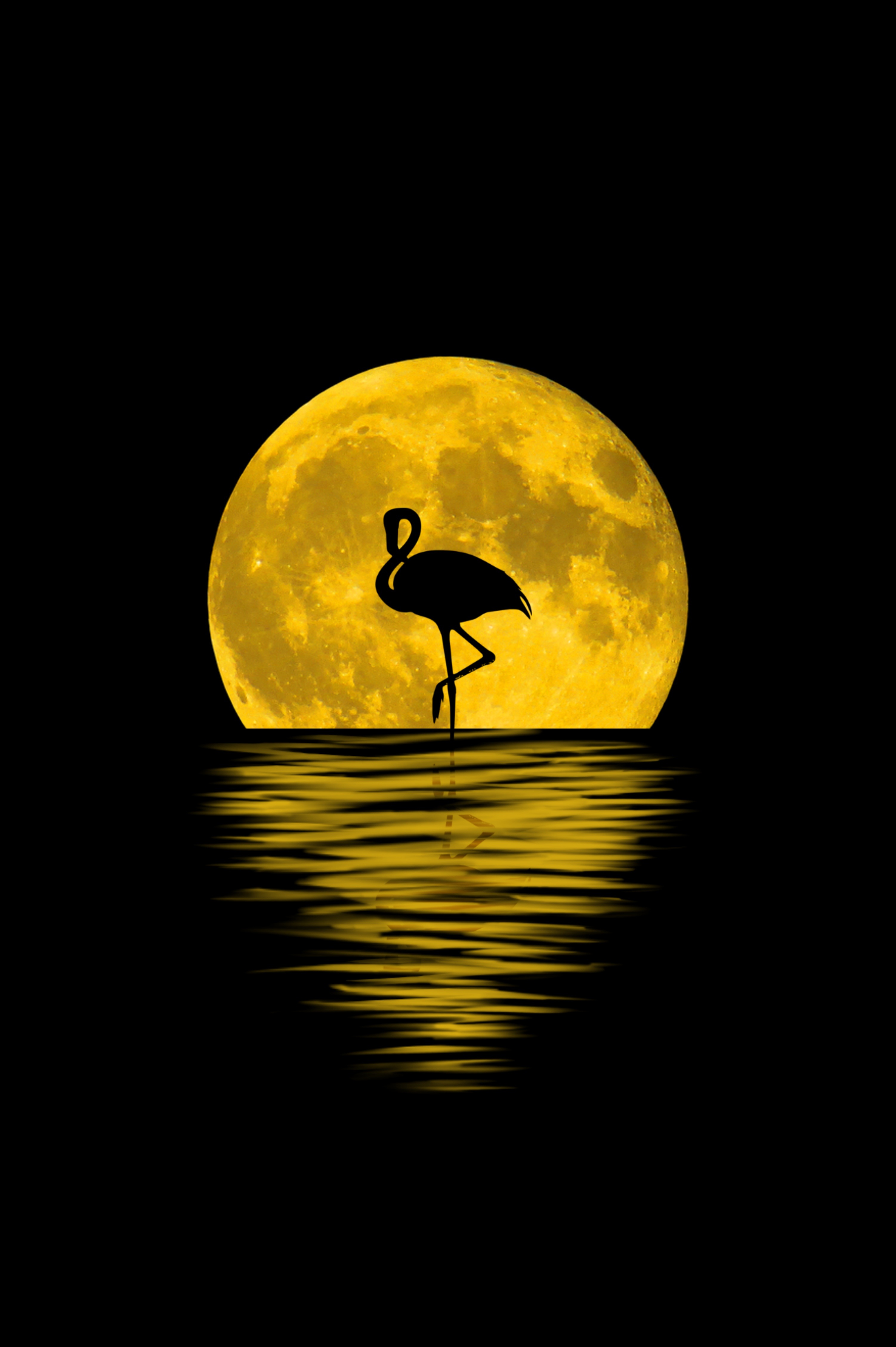 157421 télécharger l'image lune, sombre, art, flamingo, réflexion, silhouette - fonds d'écran et économiseurs d'écran gratuits