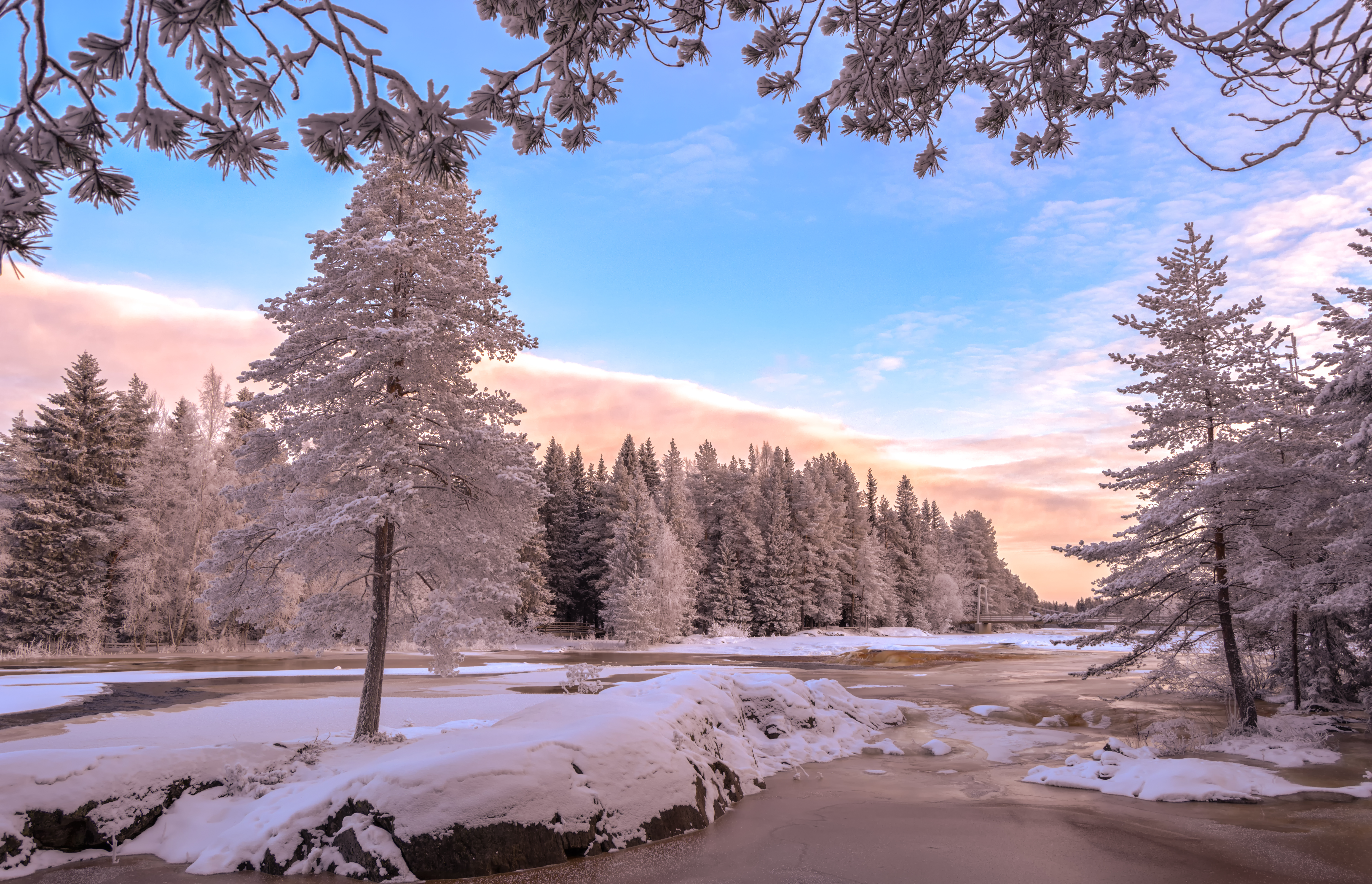 Free download wallpaper Winter, Snow, Forest, Tree, Earth on your PC desktop