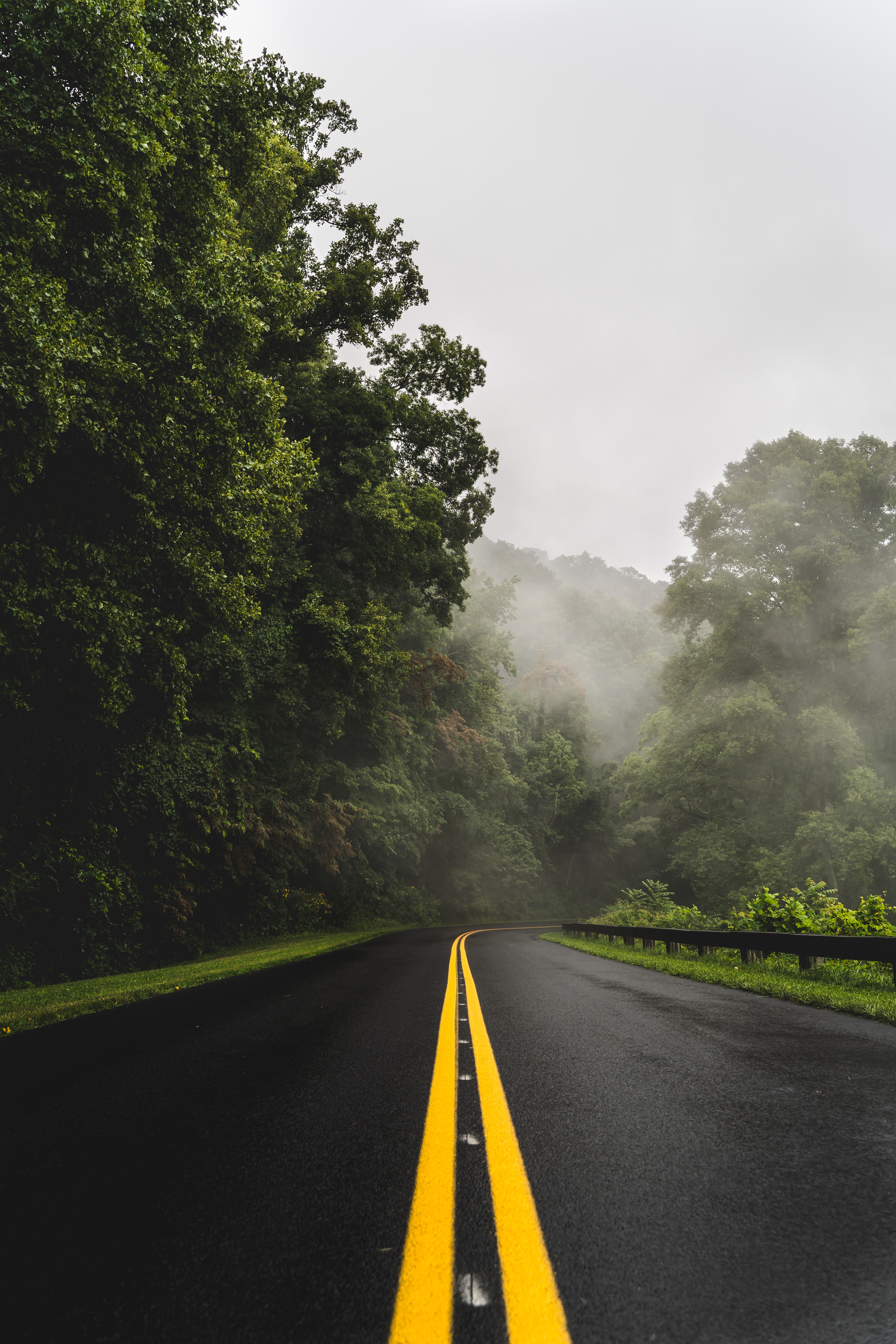 nature, asphalt, turn, trees, fog, road