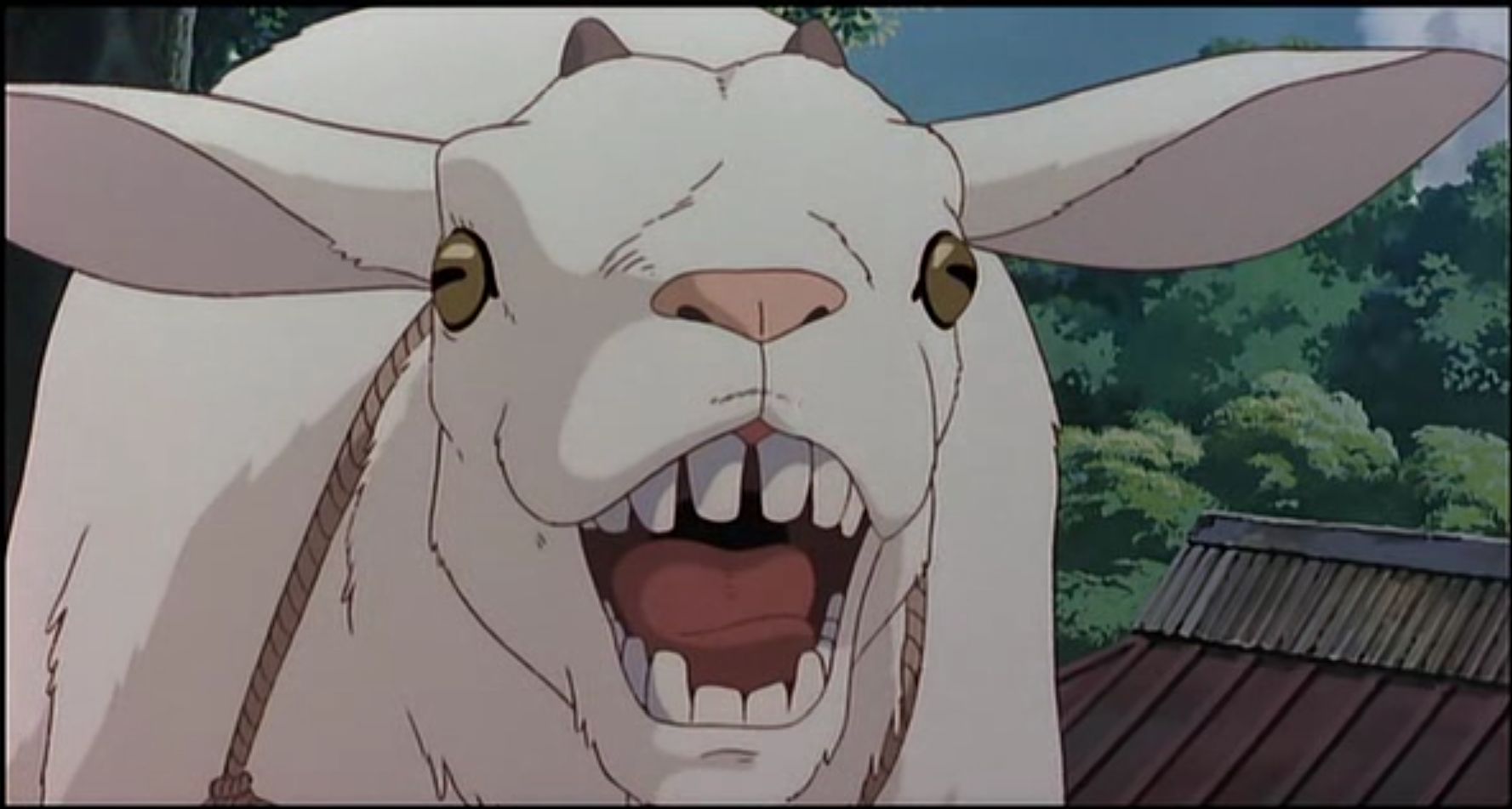 Free download wallpaper Anime, Sheep, My Neighbor Totoro on your PC desktop