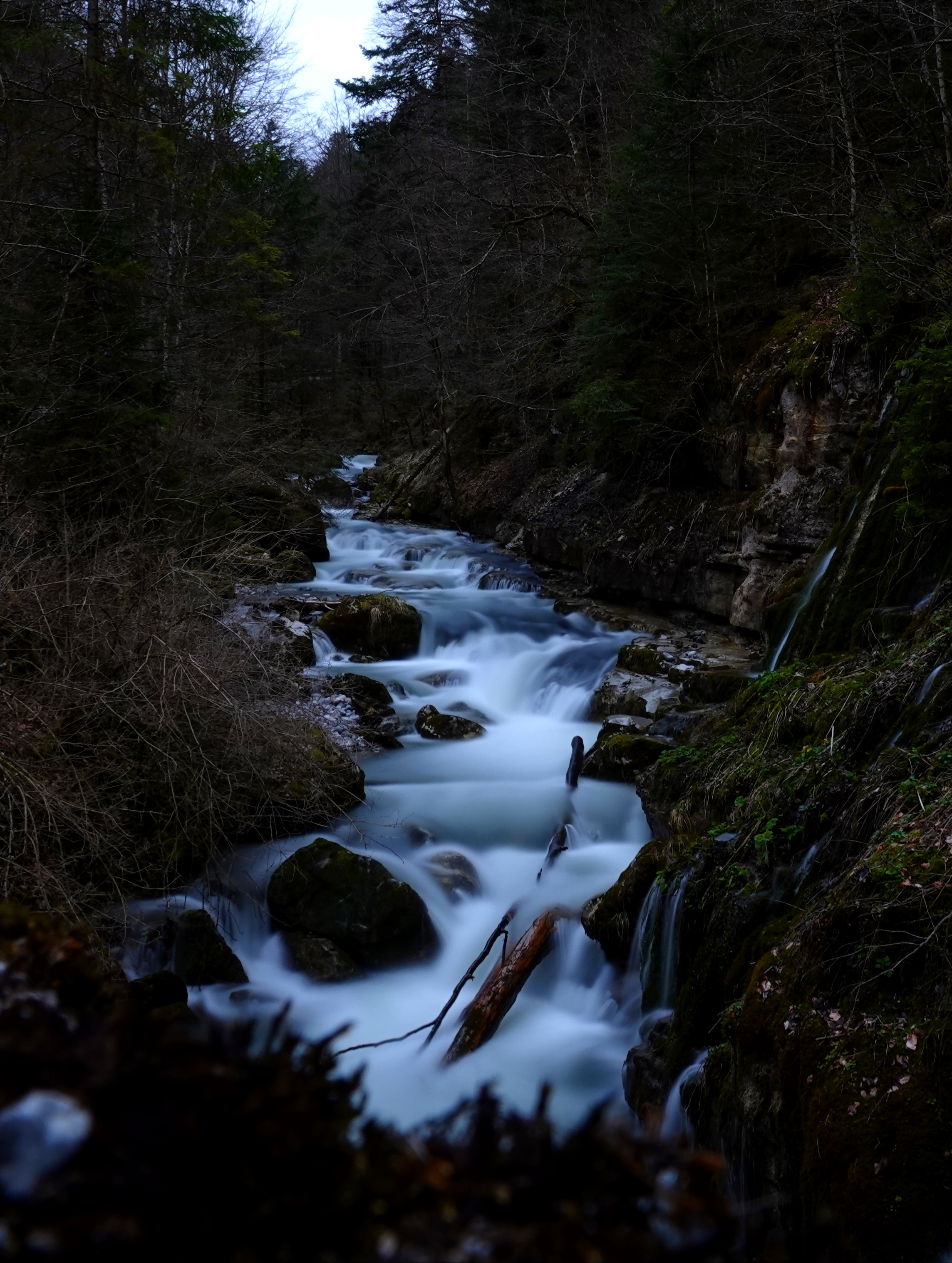 rivers, nature, trees, stones, forest, creek, brook download HD wallpaper