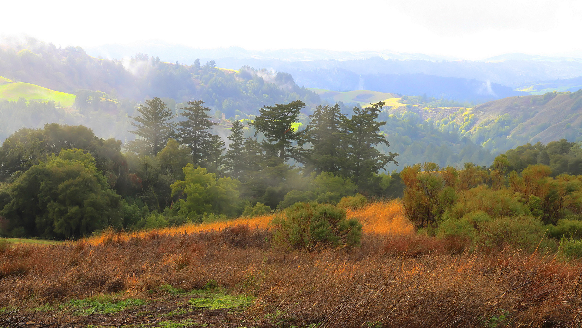 Handy-Wallpaper Landschaft, Erde/natur kostenlos herunterladen.