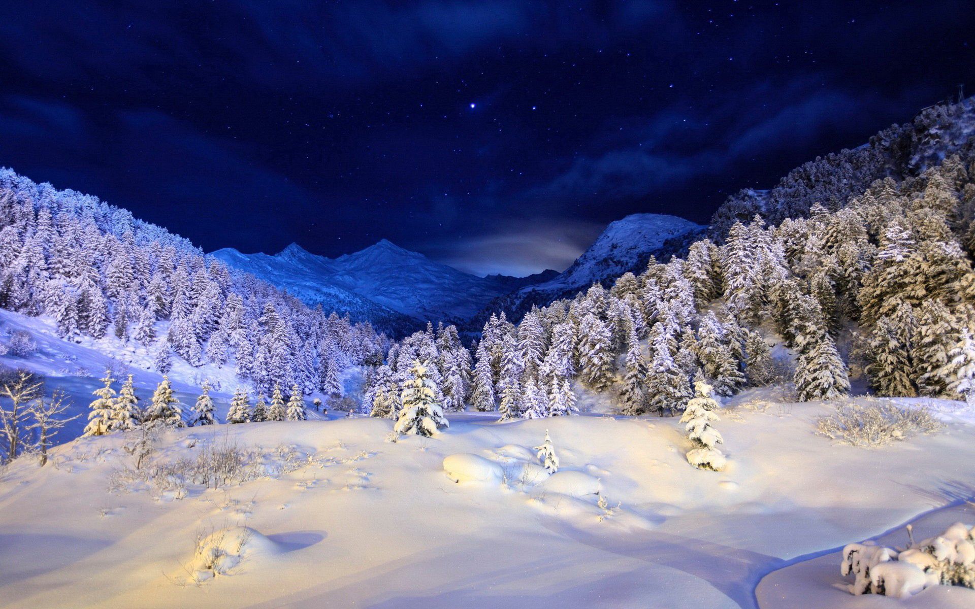 winter, nature, trees, stars, night, snow, white, blue, conifers, coniferous, shine, light, cover
