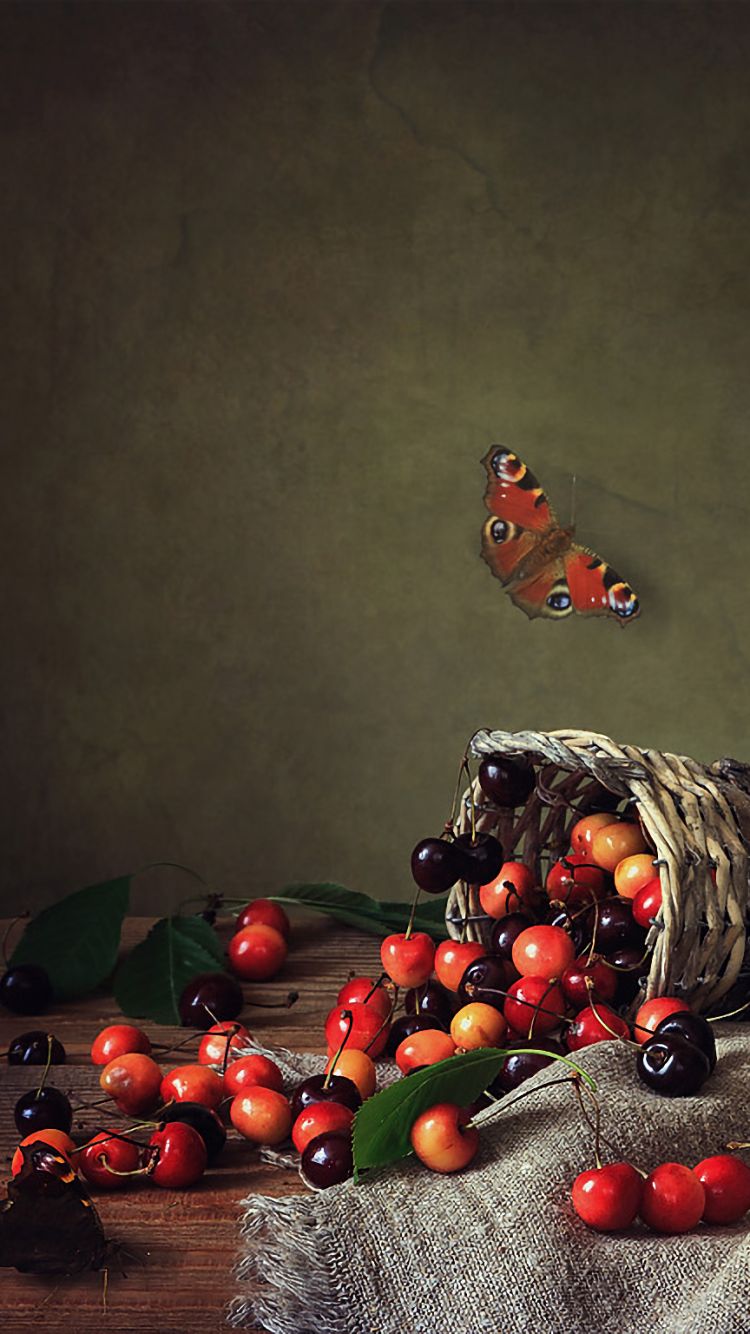 Download mobile wallpaper Cherry, Still Life, Butterfly, Basket, Photography for free.