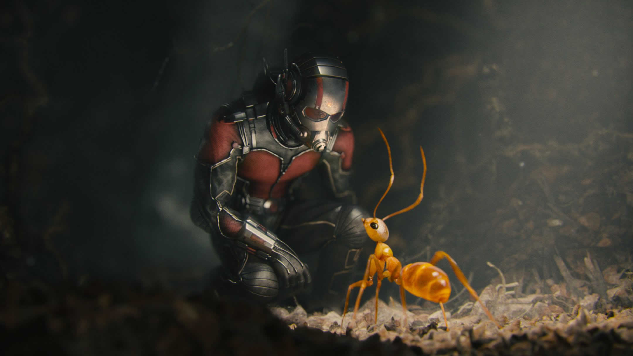 Meilleurs fonds d'écran Ant Man pour l'écran du téléphone