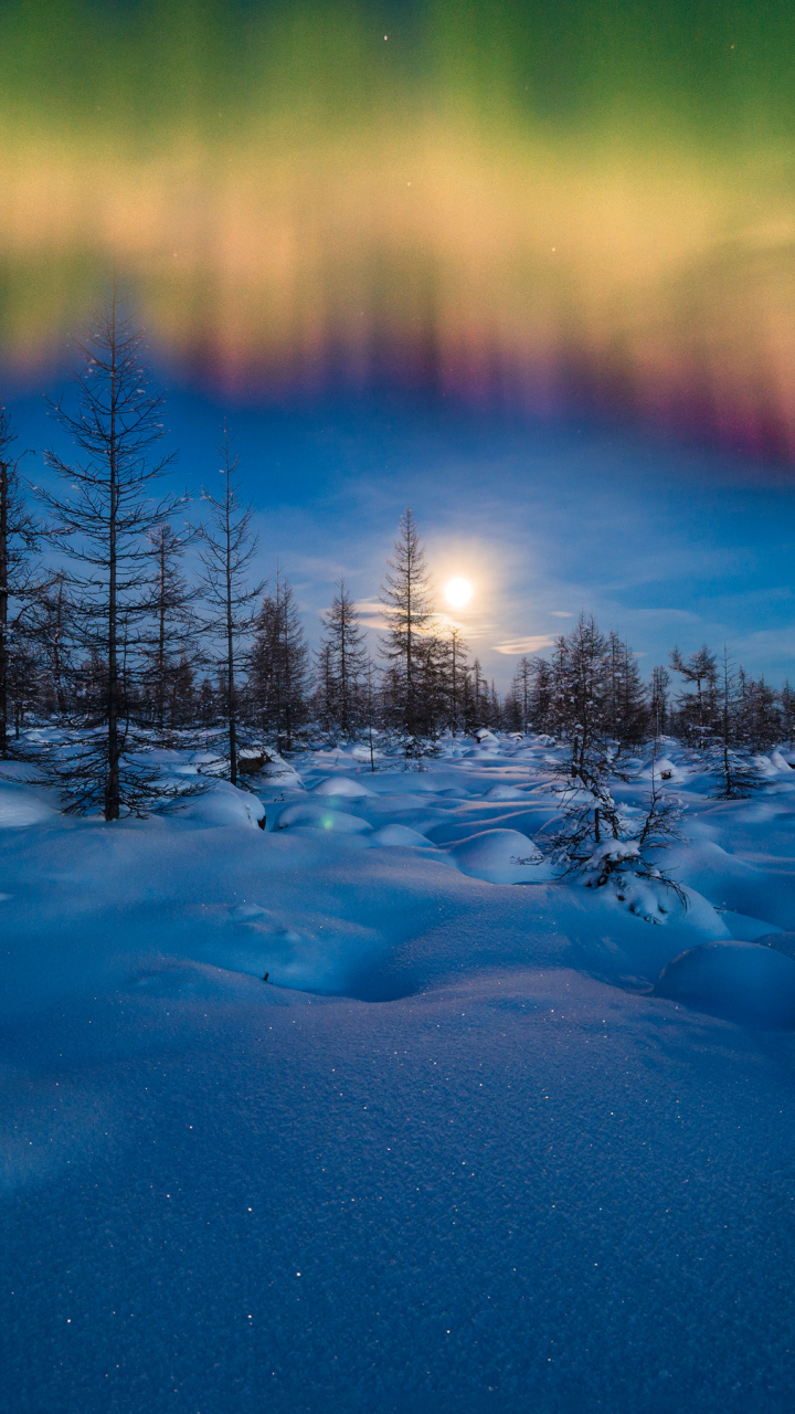 Скачать картинку Зима, Природа, Небо, Ночь, Снег, Северное Сияние, Земля/природа в телефон бесплатно.