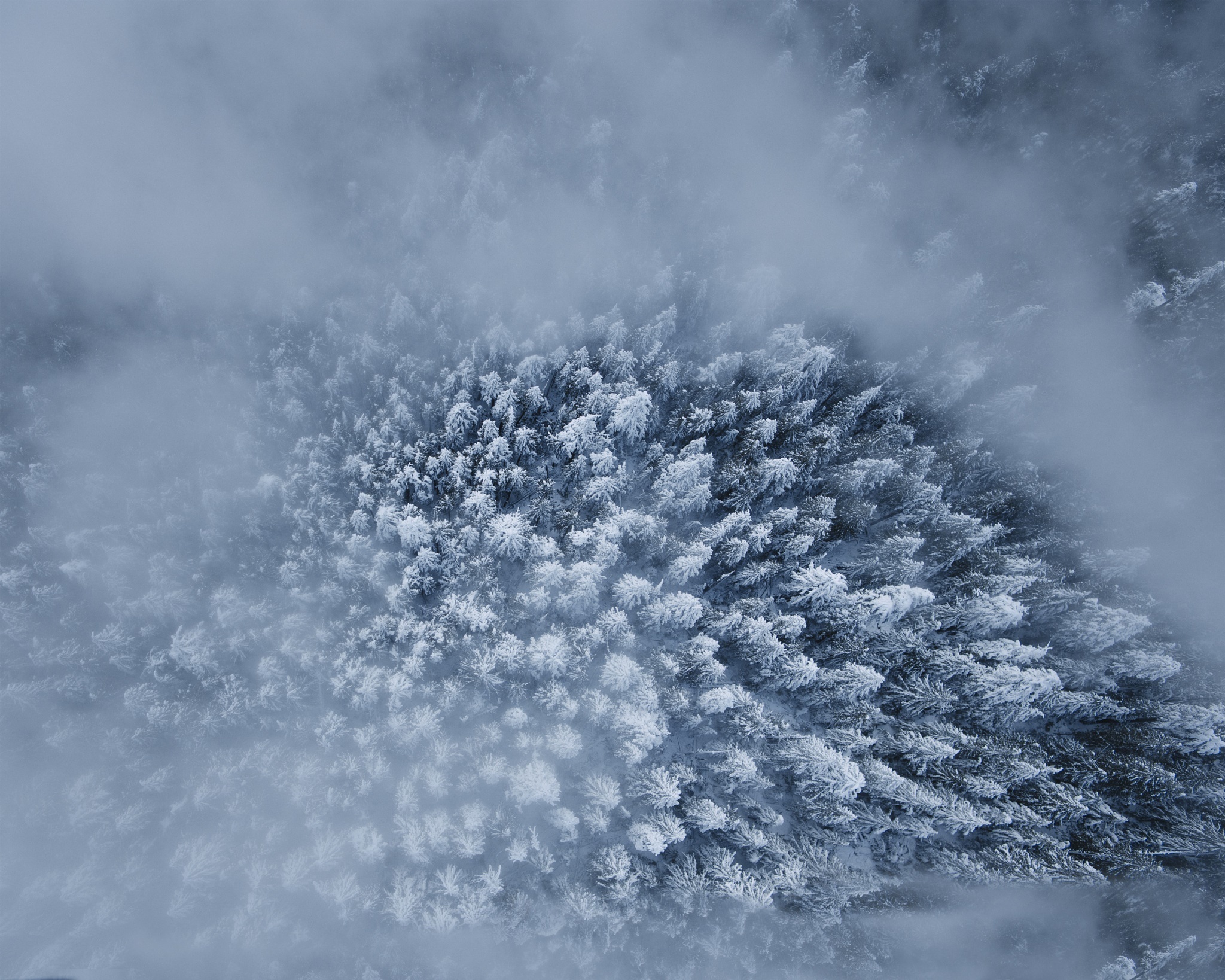 Laden Sie das Winter, Natur, Wald, Nebel, Erde/natur, Luftbildfotografie-Bild kostenlos auf Ihren PC-Desktop herunter