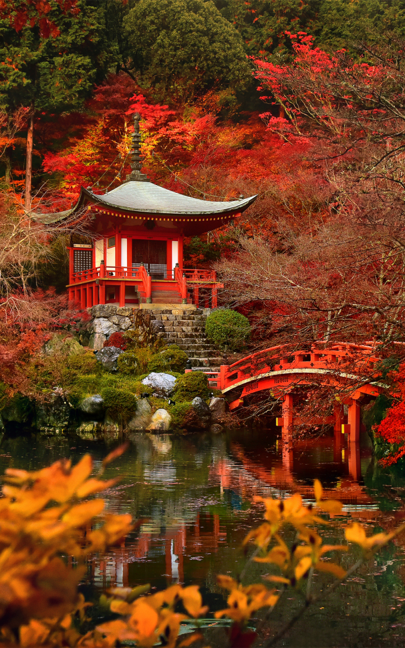 Download mobile wallpaper Nature, Fall, Bridge, Pagoda, Japan, Temples, Kyoto, Religious, Daigo Ji for free.