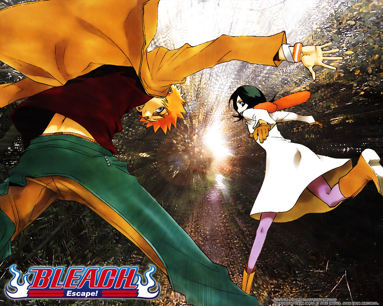 Free download wallpaper Anime, Bleach, Rukia Kuchiki, Ichigo Kurosaki on your PC desktop