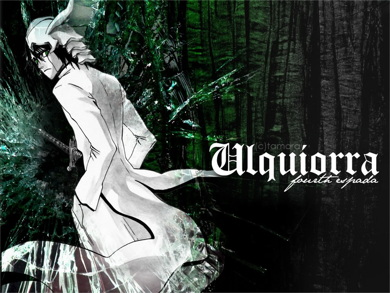 Handy-Wallpaper Bleach, Animes, Ulquiorra Cifer kostenlos herunterladen.