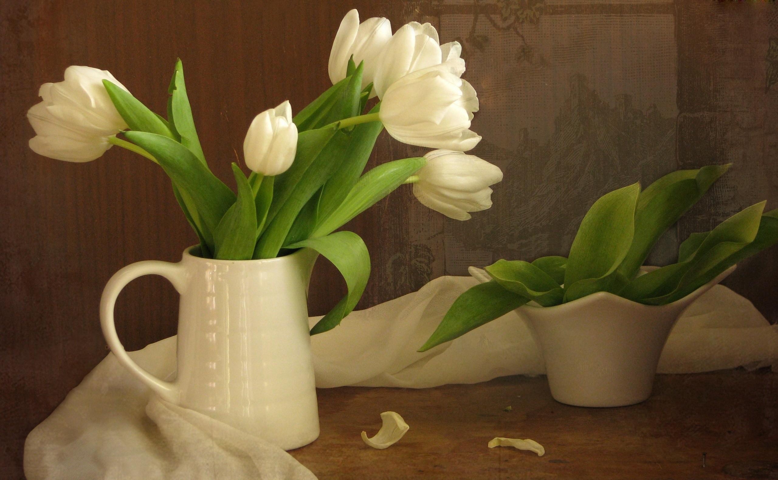 flowers, tulips, white, greens, bouquet, jug, snow white, scarf