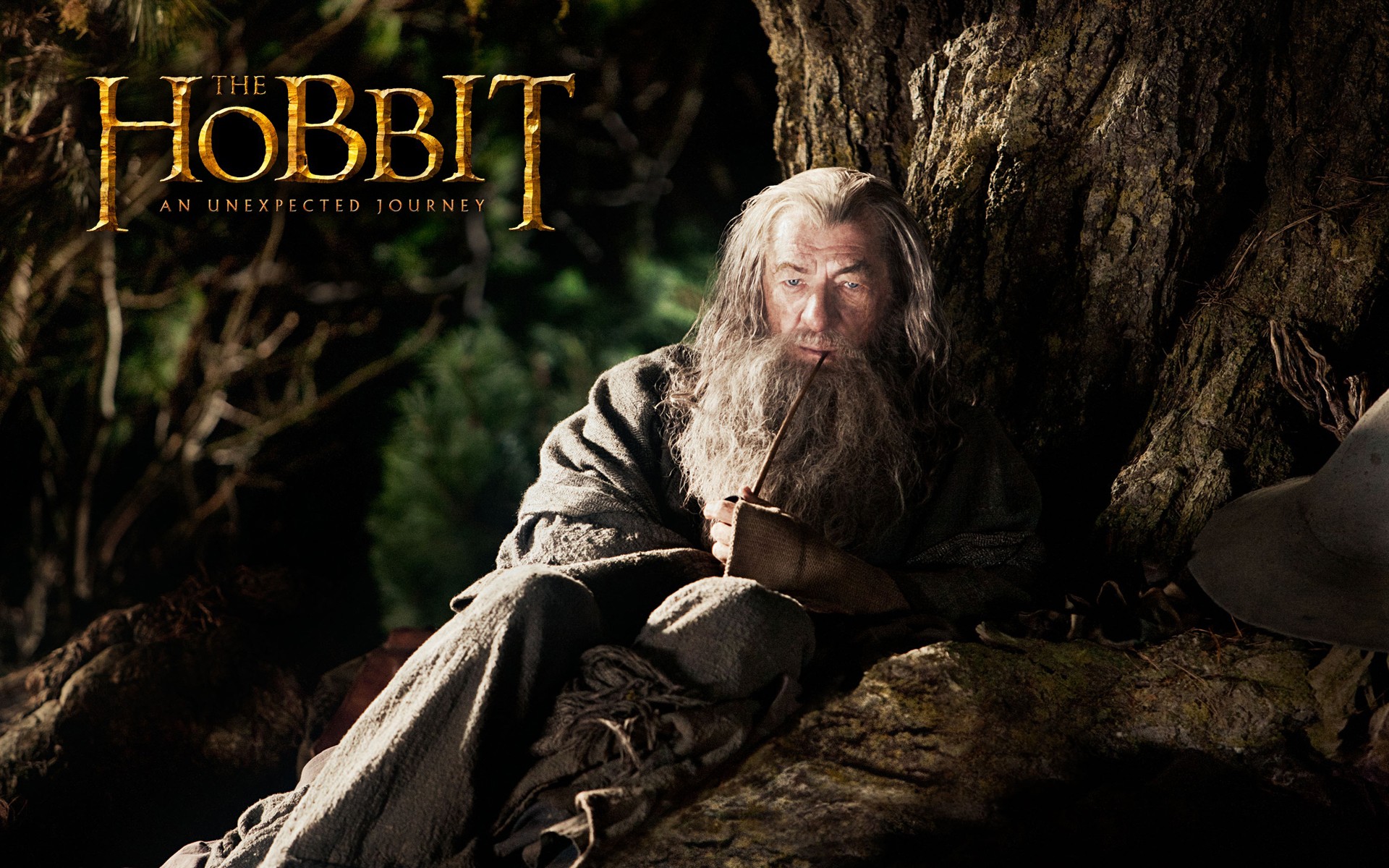 Téléchargez des papiers peints mobile Le Hobbit : Un Voyage Inattendu, Le Seigneur Des Anneaux, Film gratuitement.