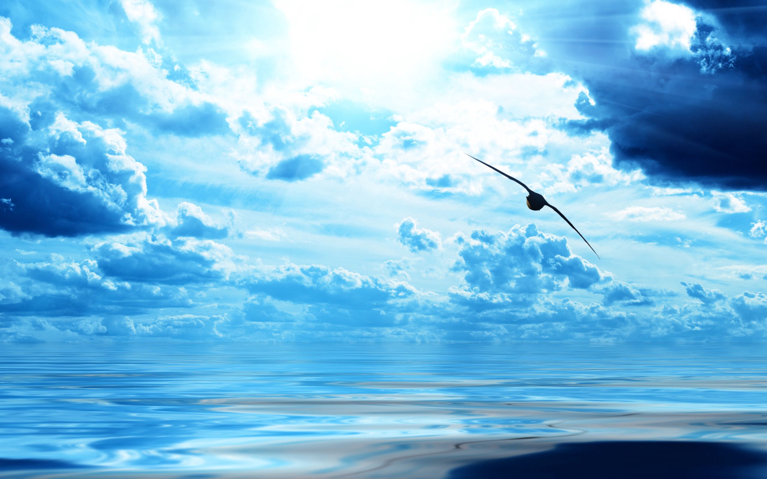 Download mobile wallpaper Clouds, Flight, Sky, Bird, Ocean, Nature for free.