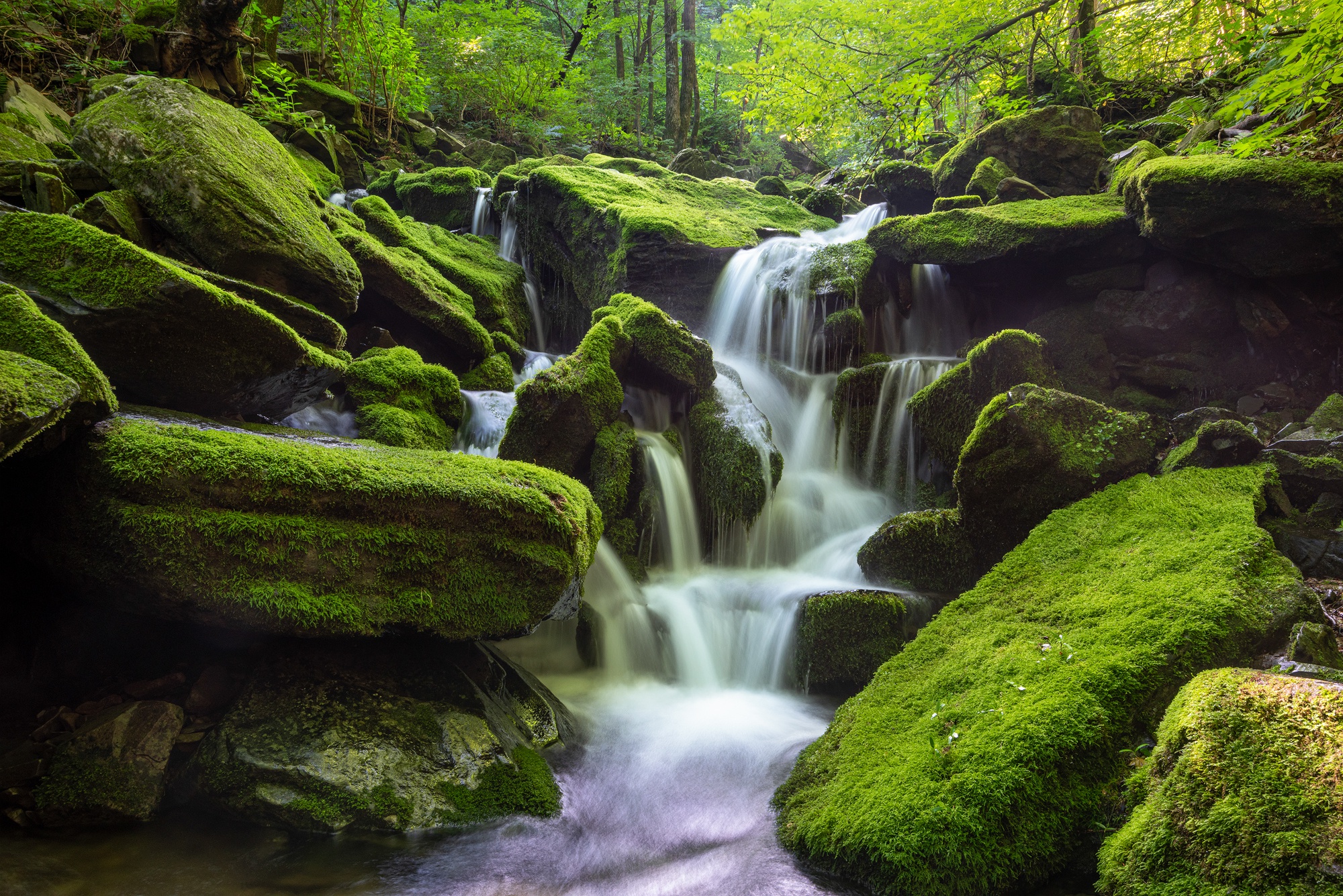 Download mobile wallpaper Waterfalls, Waterfall, Earth, Stone, Moss, South Korea for free.