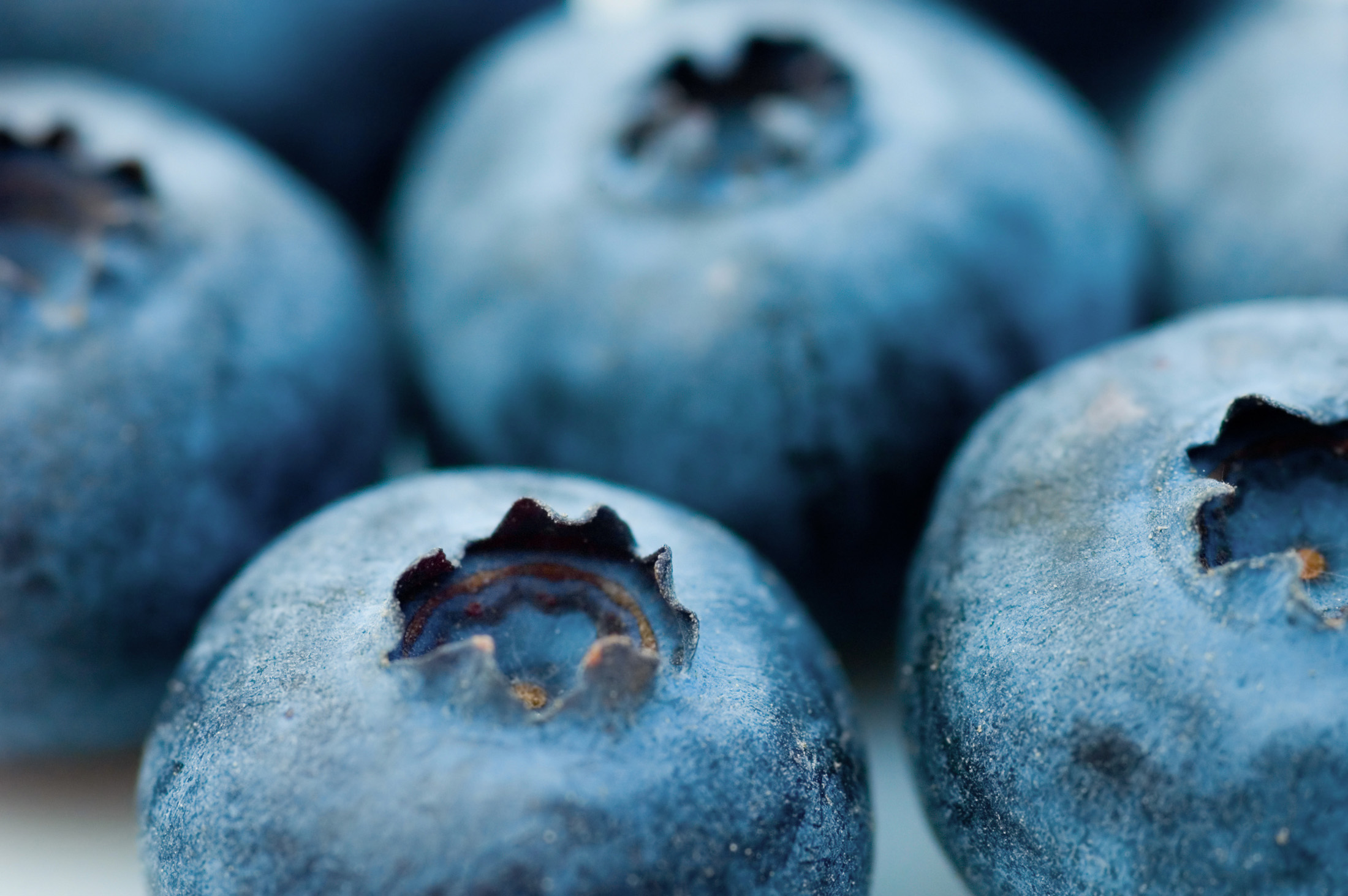 Download mobile wallpaper Food, Blueberry for free.