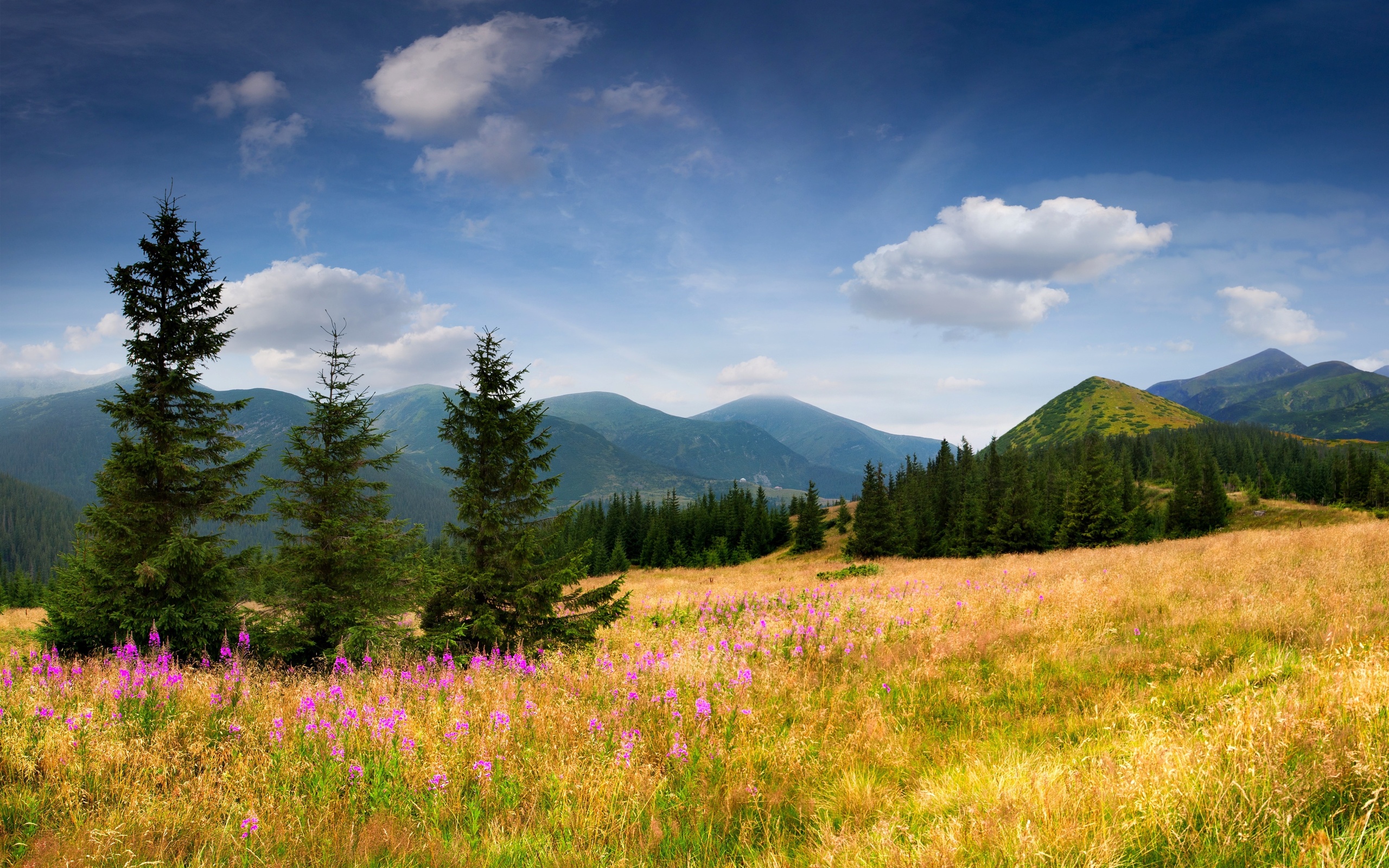 Laden Sie das Landschaft, Erde/natur-Bild kostenlos auf Ihren PC-Desktop herunter