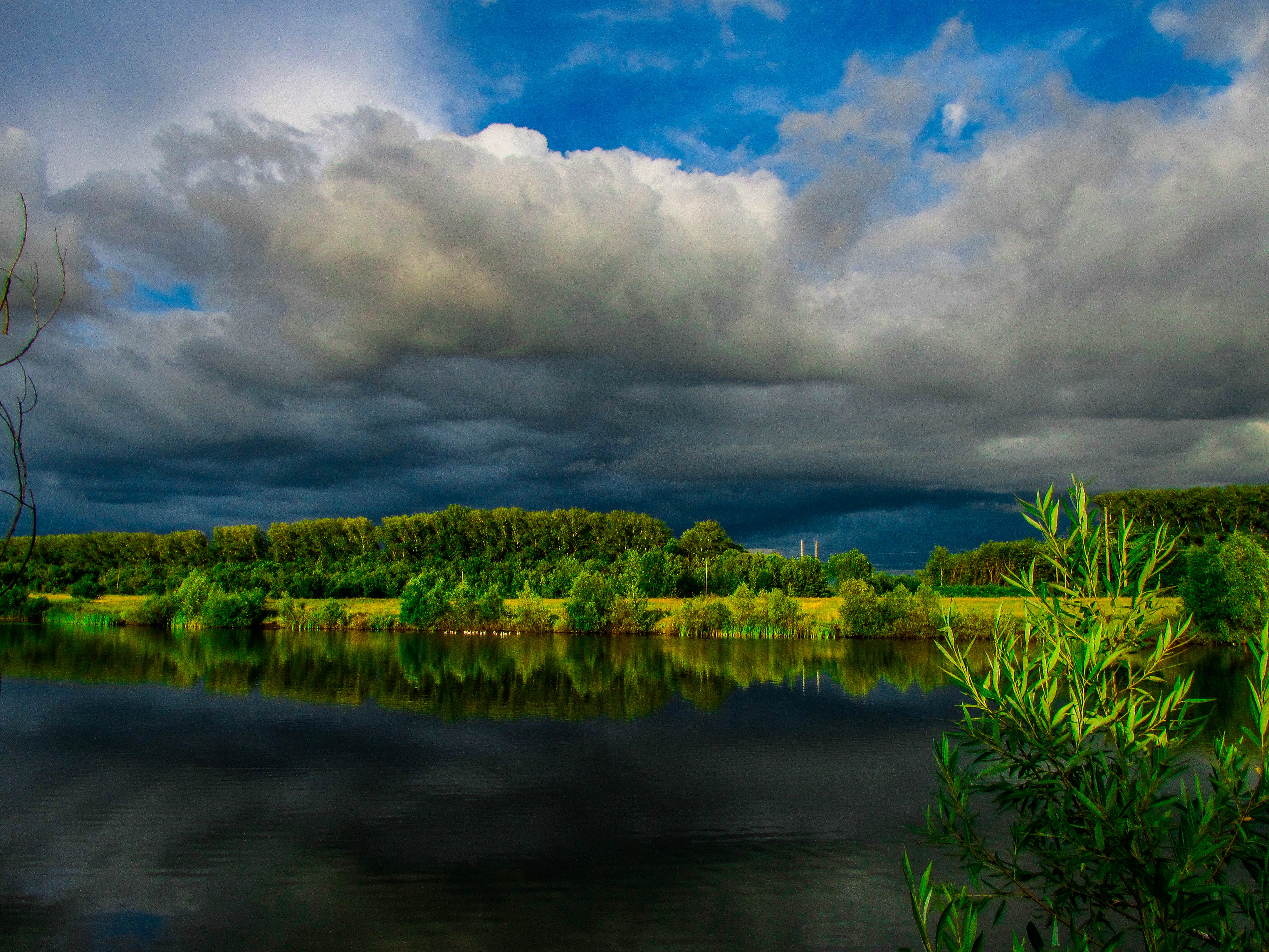 Baixe gratuitamente a imagem Paisagem, Lago, Árvore, Nuvem, Terra/natureza na área de trabalho do seu PC