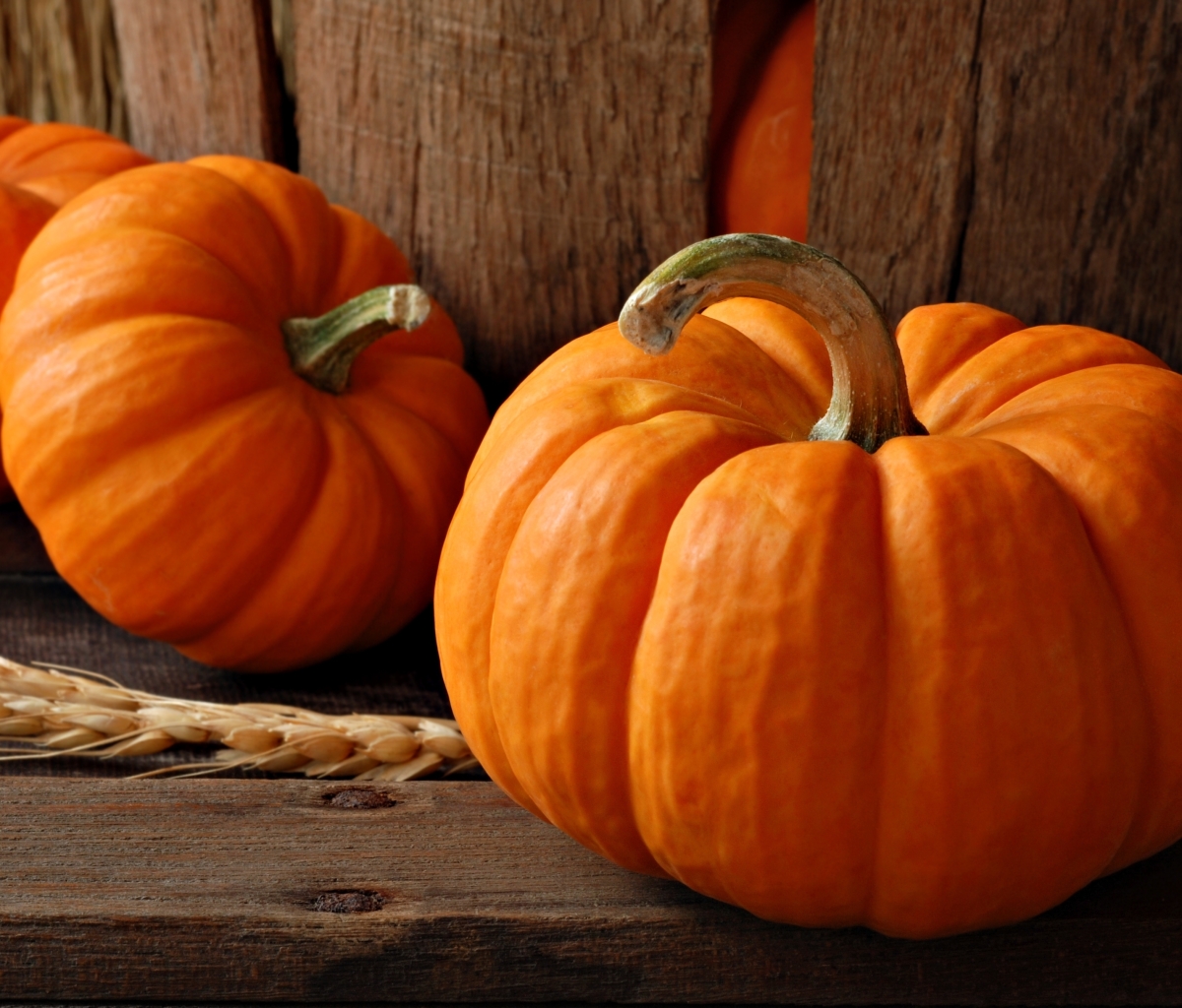 Free download wallpaper Halloween, Pumpkin, Holiday on your PC desktop