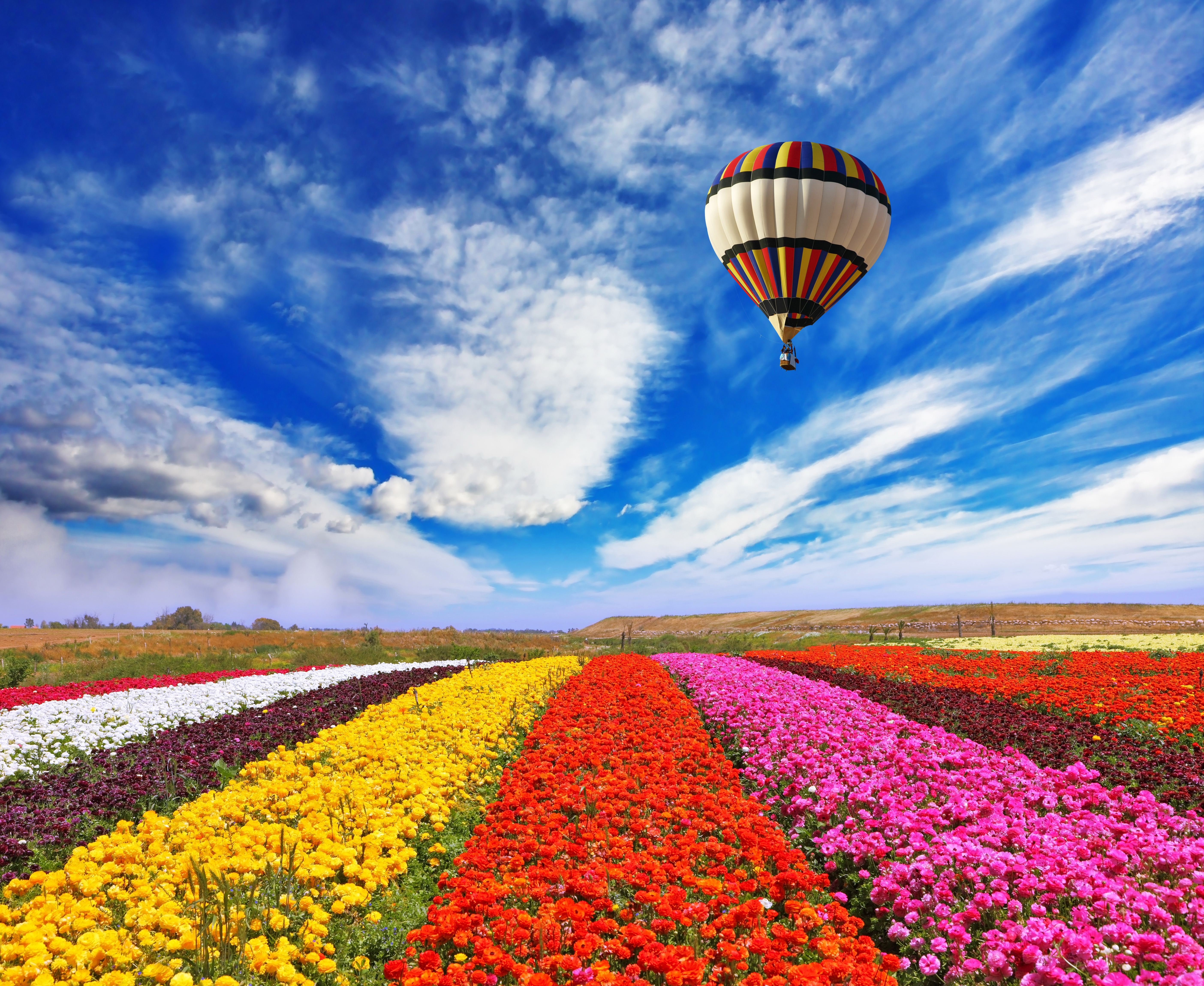 無料モバイル壁紙花, 黄色い花, 空, 乗り物, 赤い花, 分野, クラウド, ピンクの花, 熱気球をダウンロードします。