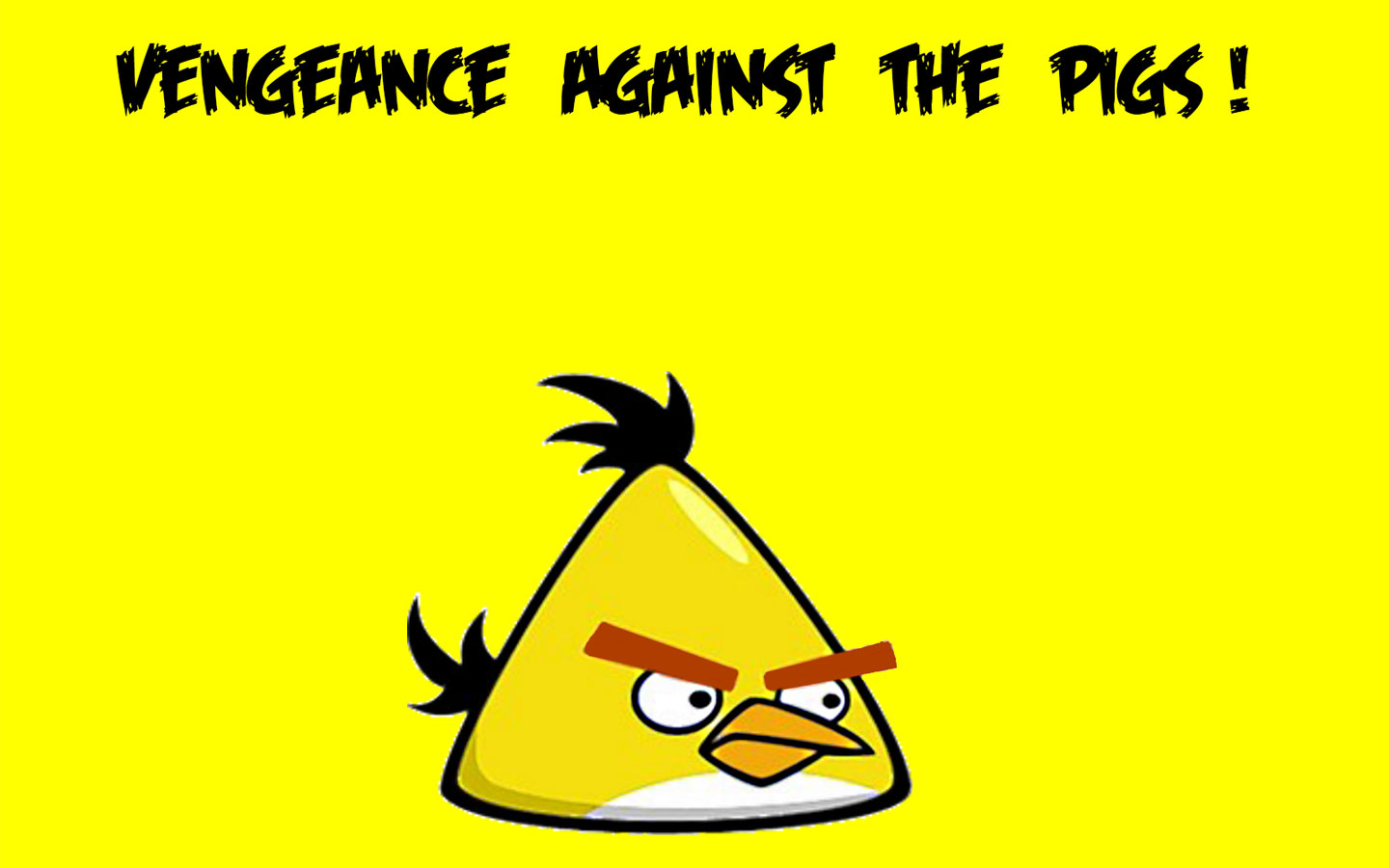 Free download wallpaper Angry Birds, Bird, Video Game on your PC desktop