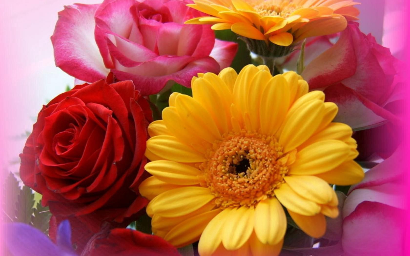 Free download wallpaper Flowers, Roses, Gerberas, Close Up, Bouquet on your PC desktop