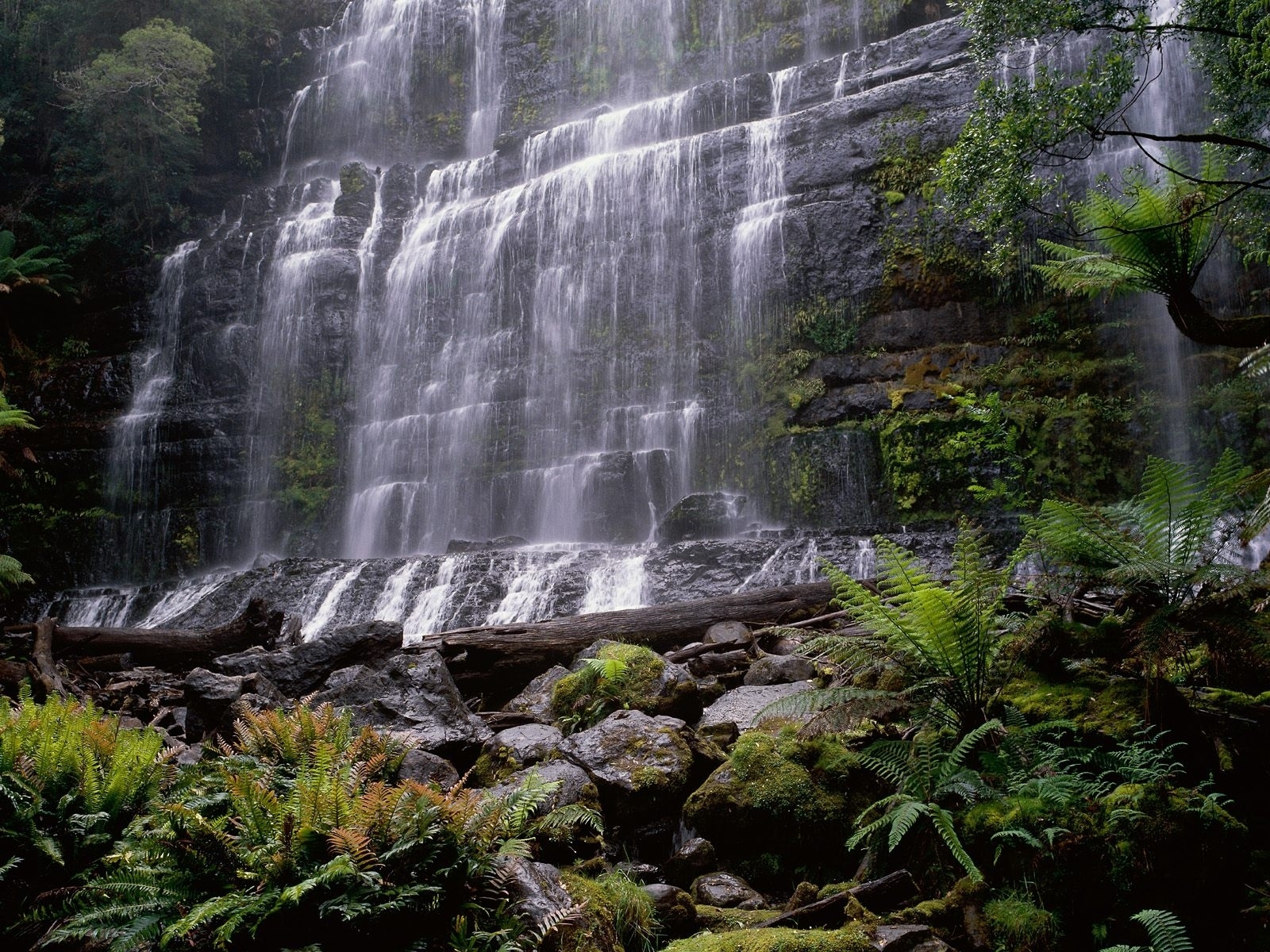 Free download wallpaper Nature, Waterfalls, Waterfall, Vegetation, Earth, Moss, Jungle on your PC desktop