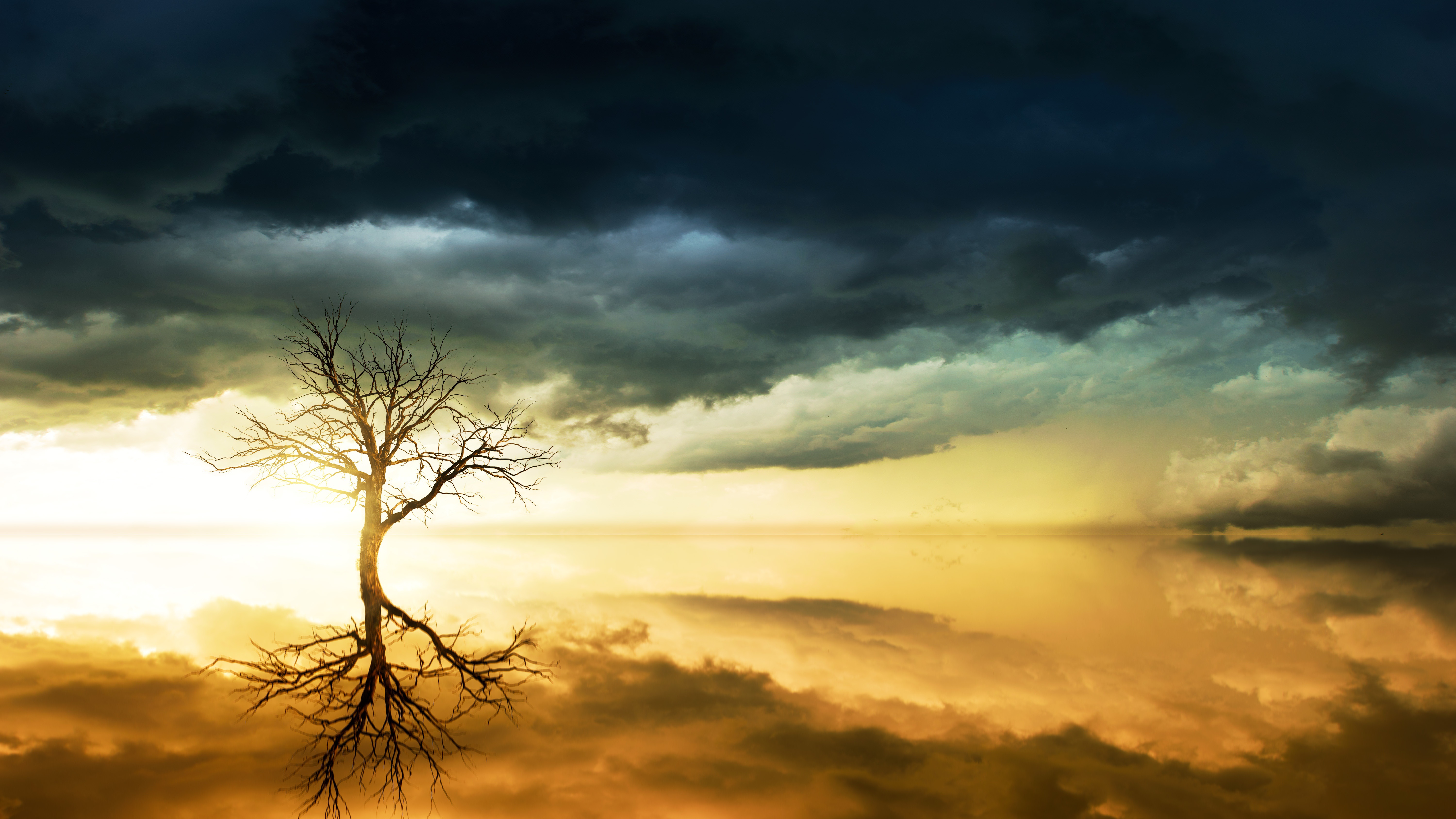Free download wallpaper Trees, Horizon, Reflection, Tree, Ocean, Earth, Cloud, Lonely Tree on your PC desktop