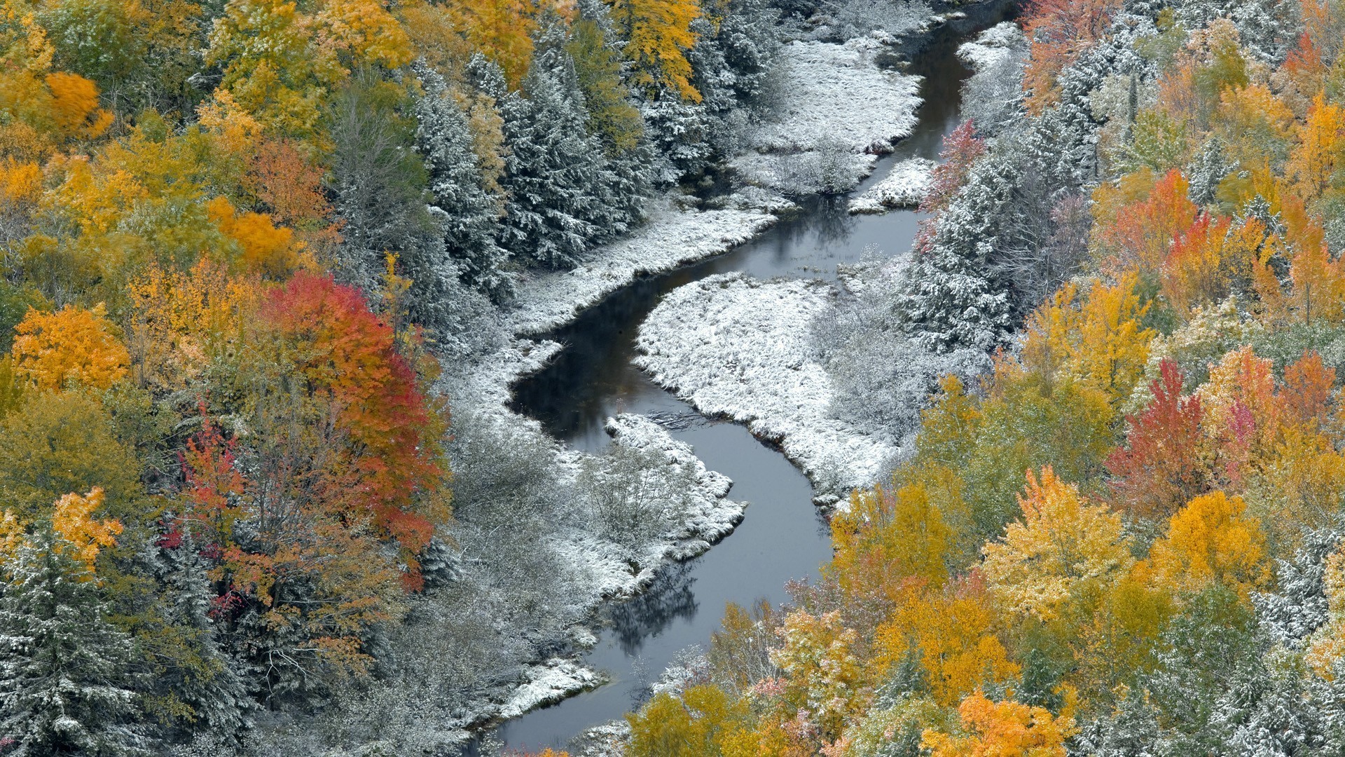 earth, fall, frost, leaf, nature, river, season, stream