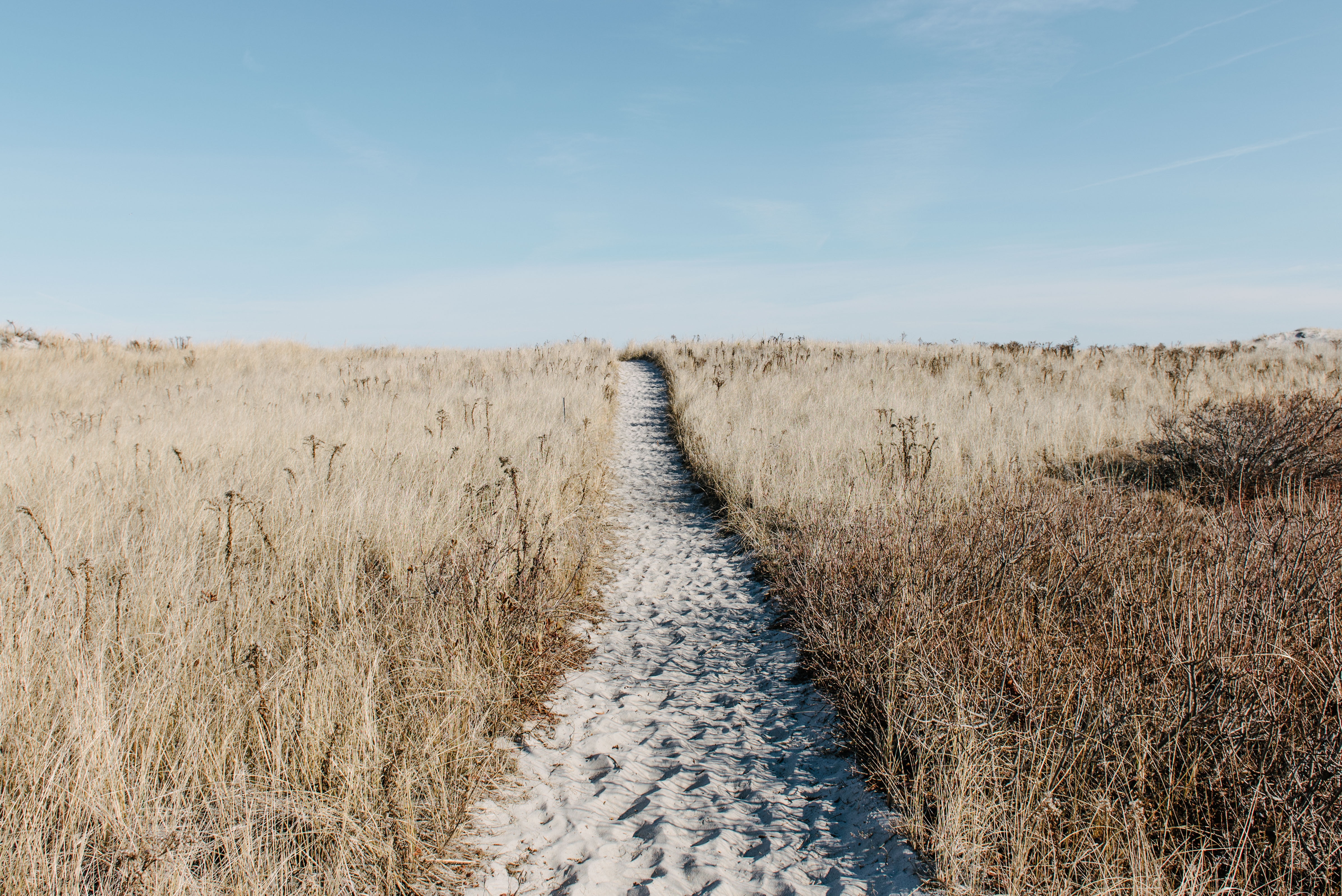Free download wallpaper Grass, Path, Dry, Nature, Field, Sand on your PC desktop