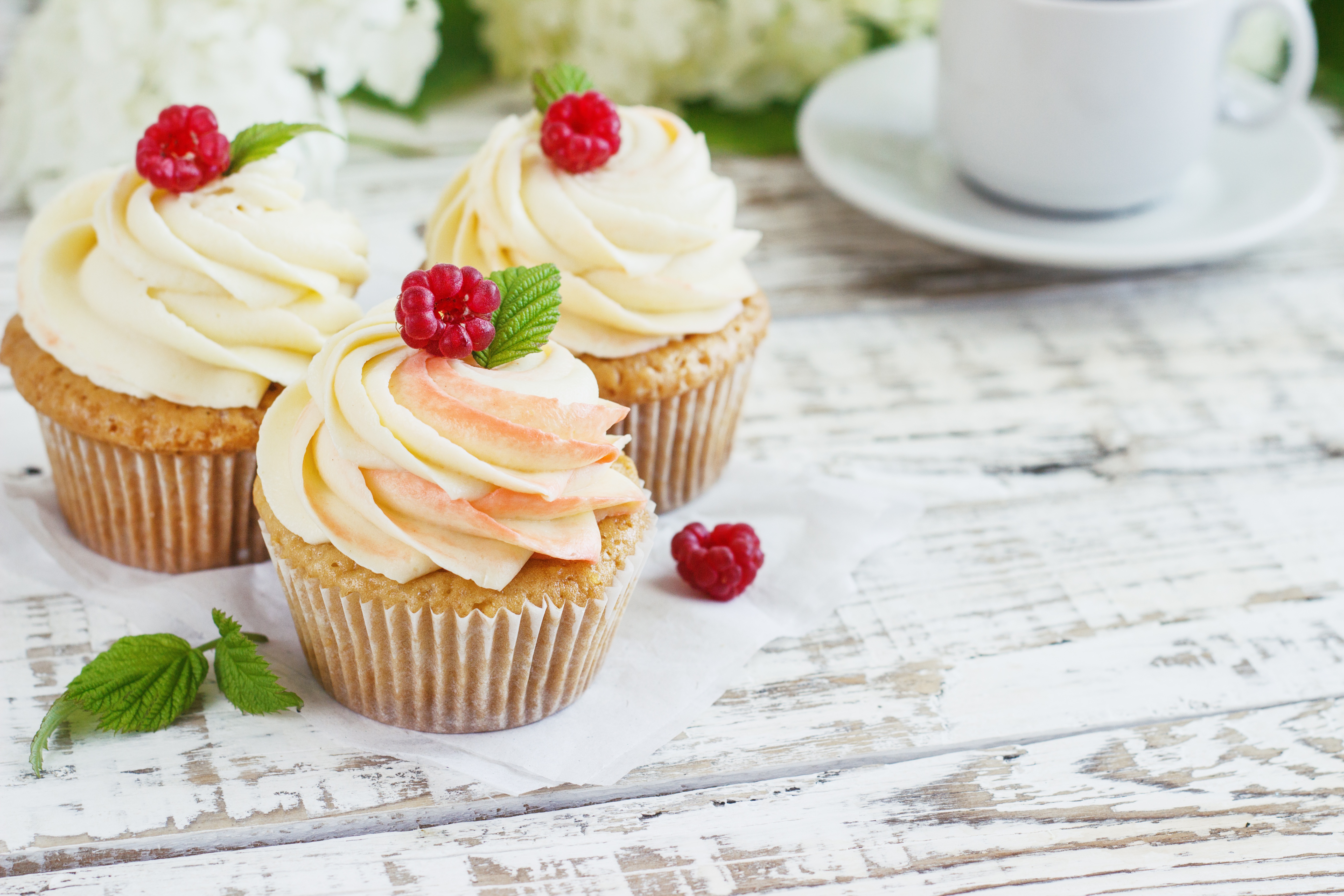 Laden Sie das Dessert, Himbeere, Gebäck, Cupcake, Nahrungsmittel-Bild kostenlos auf Ihren PC-Desktop herunter