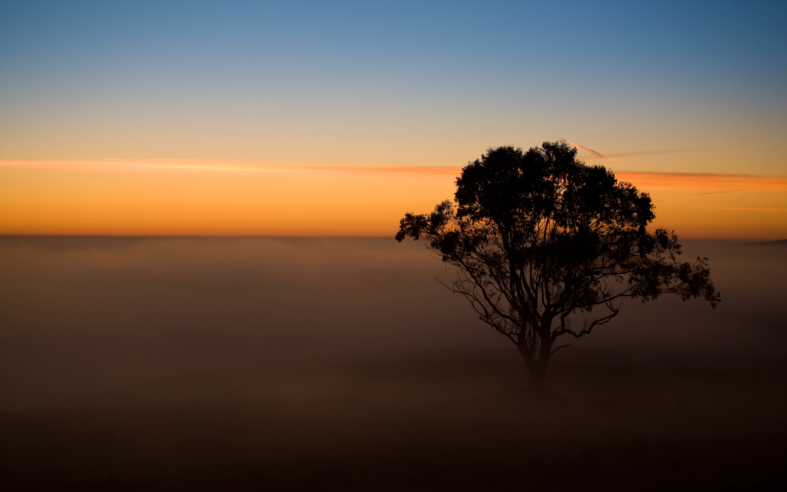 Baixar papel de parede para celular de Terra/natureza, Neblina gratuito.