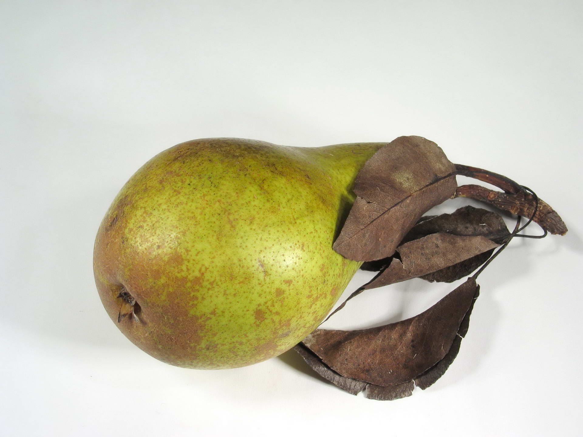pear, food, fruits