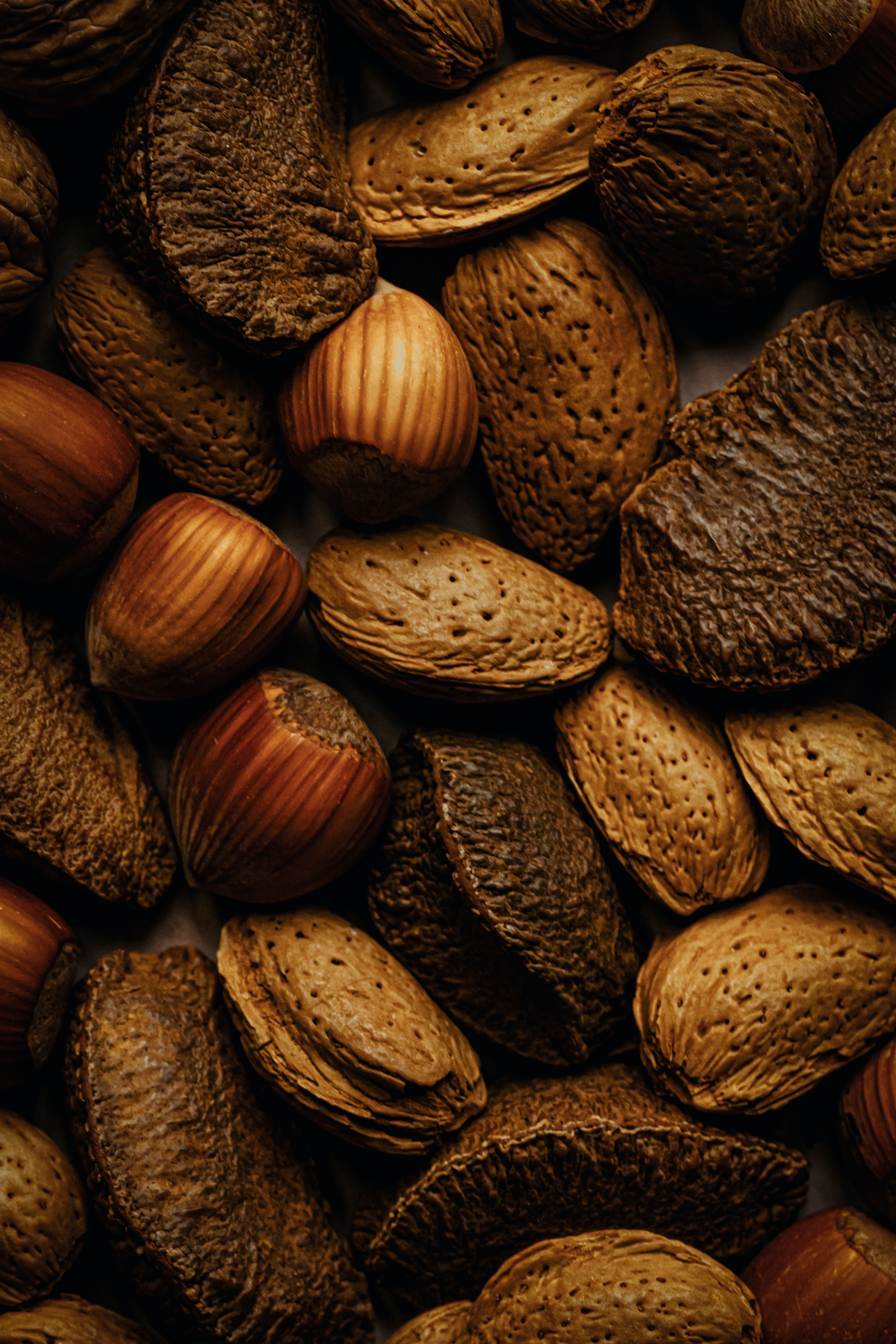 brown, hazelnut, food, nuts, fruit, almond