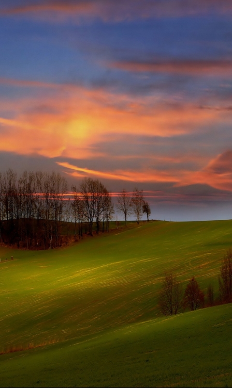 Download mobile wallpaper Landscape, Sunrise, Earth for free.